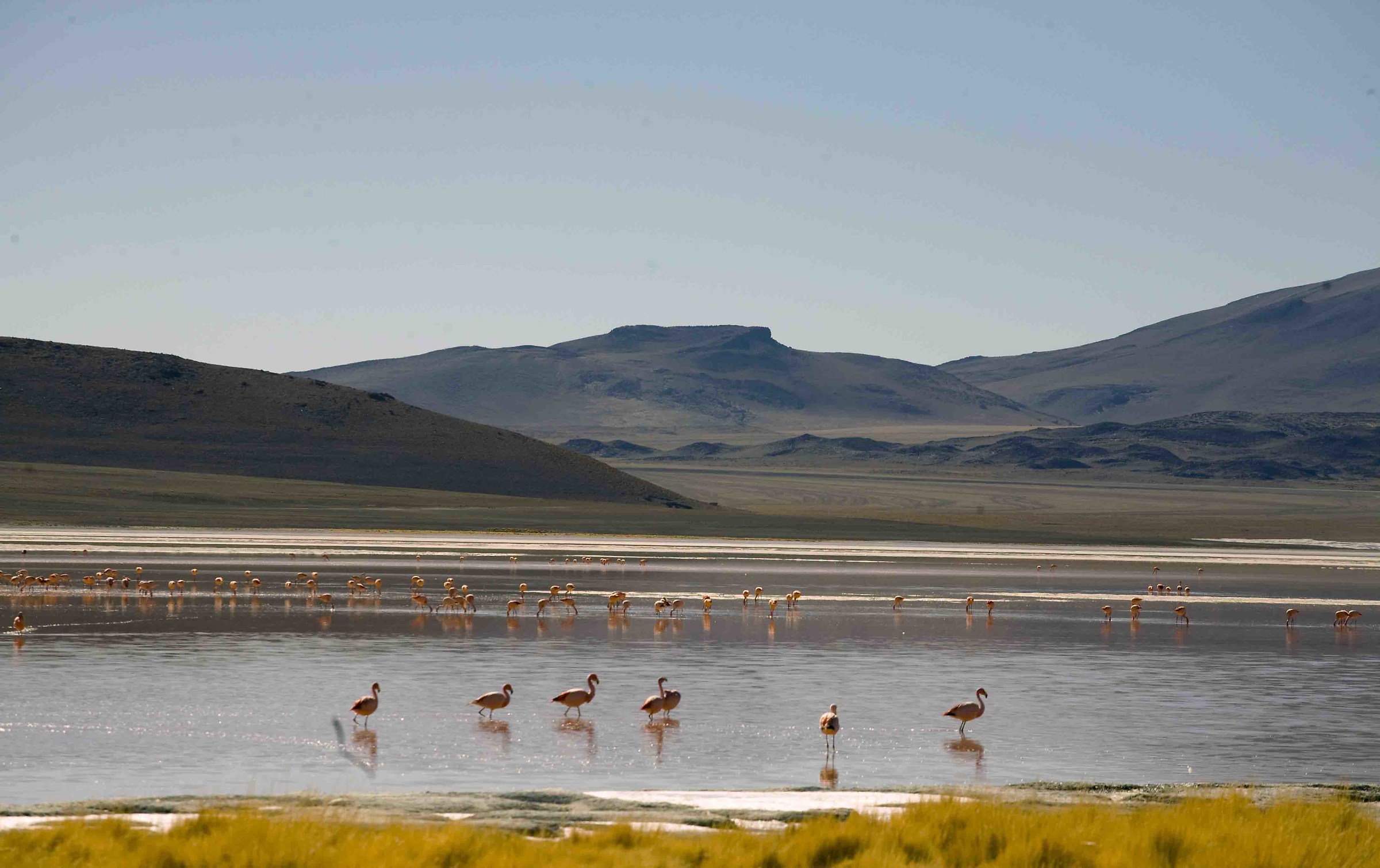 Lake on the Bolivian Andes