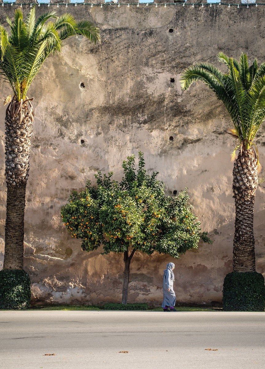 Walking along the walls.