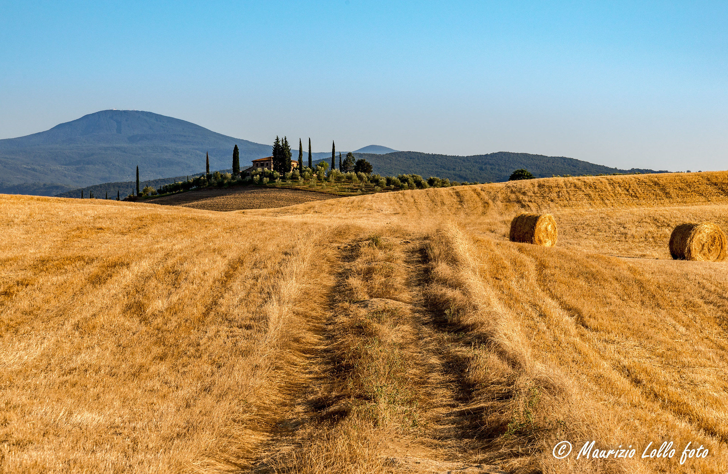 Dal campo dorato al cielo