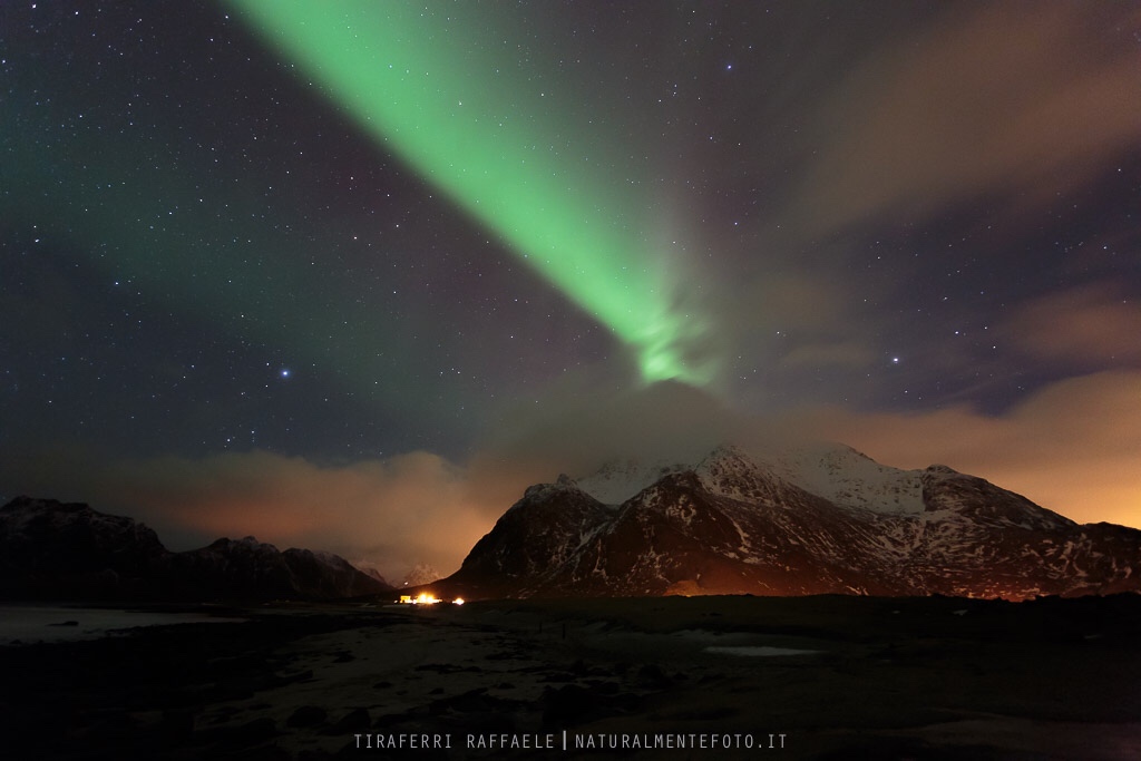 . :: :: Autora borealis.