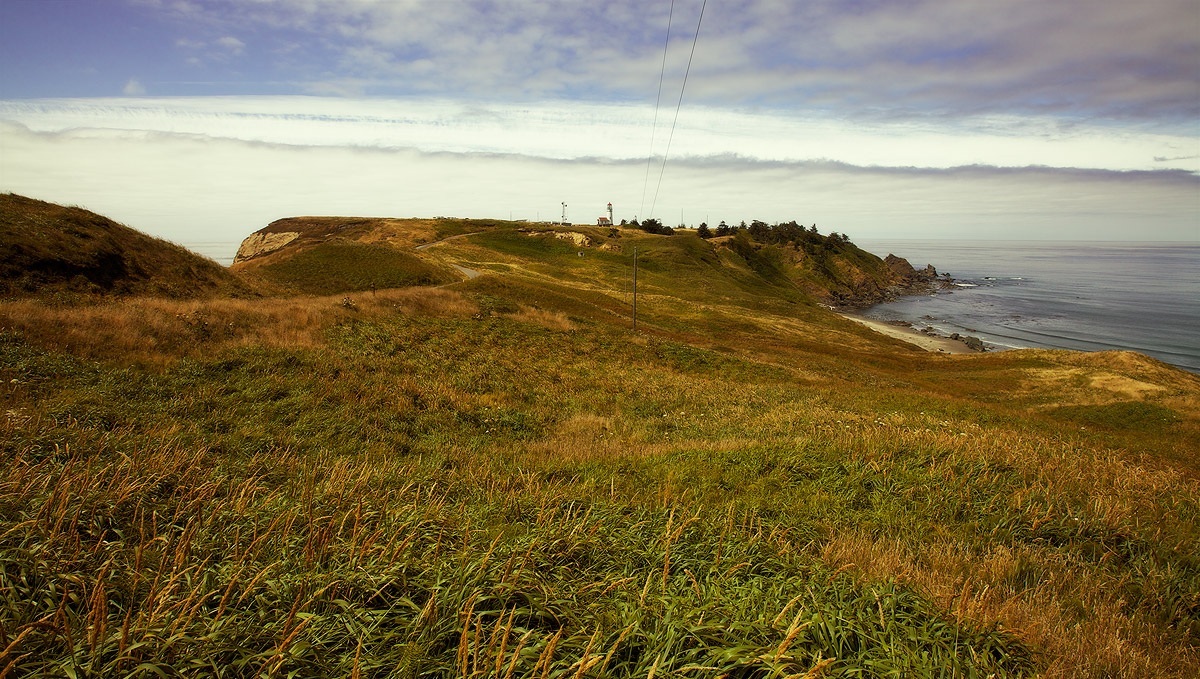 Dispersed in the Oregon Coast