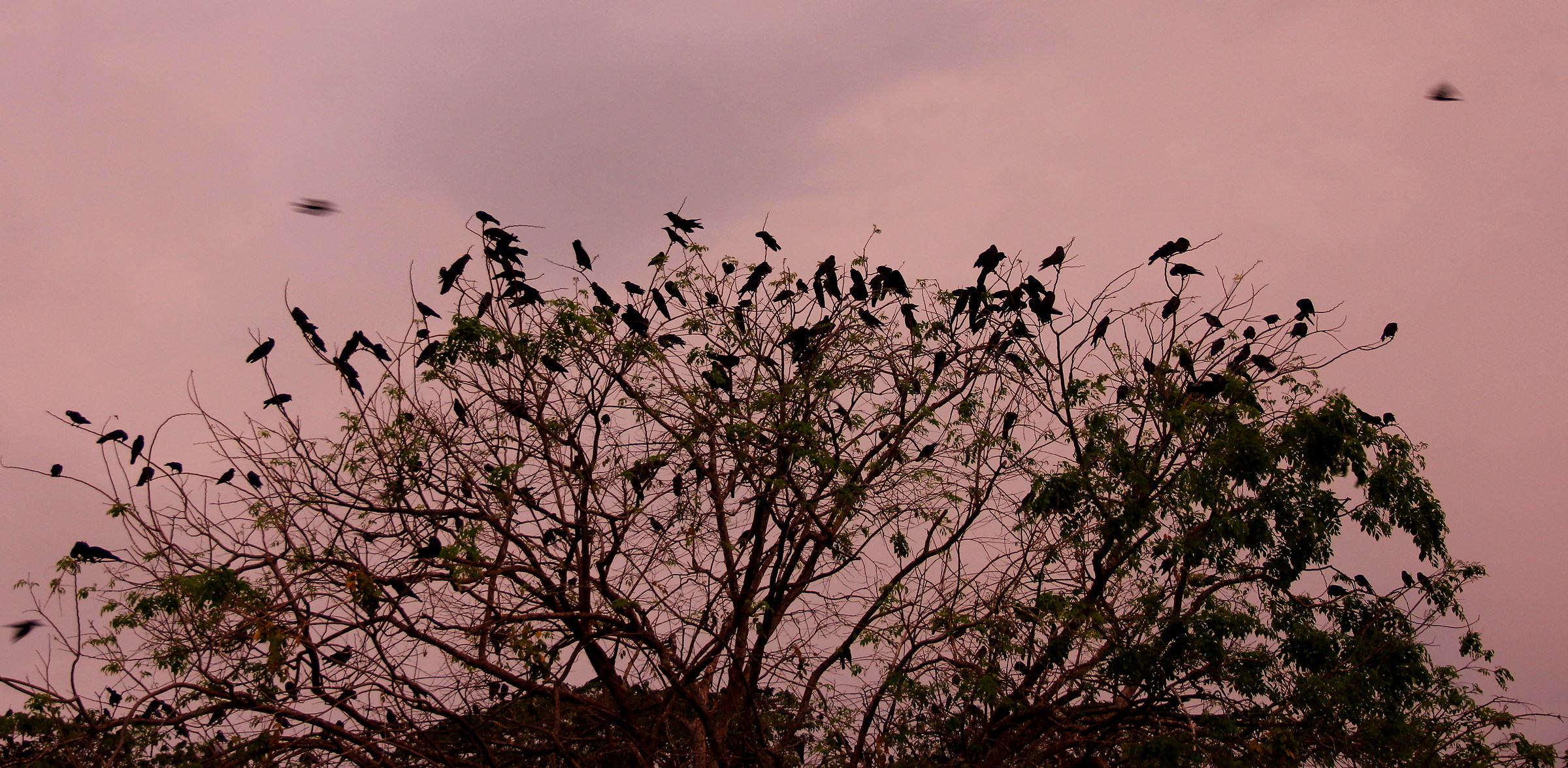 All'ora del tramonto