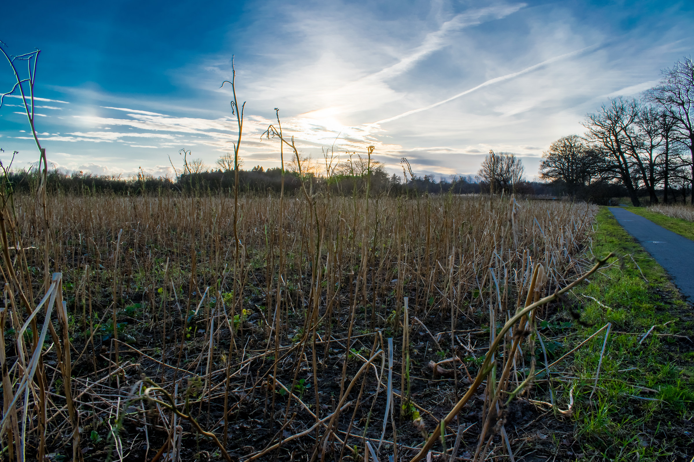 First try HDR