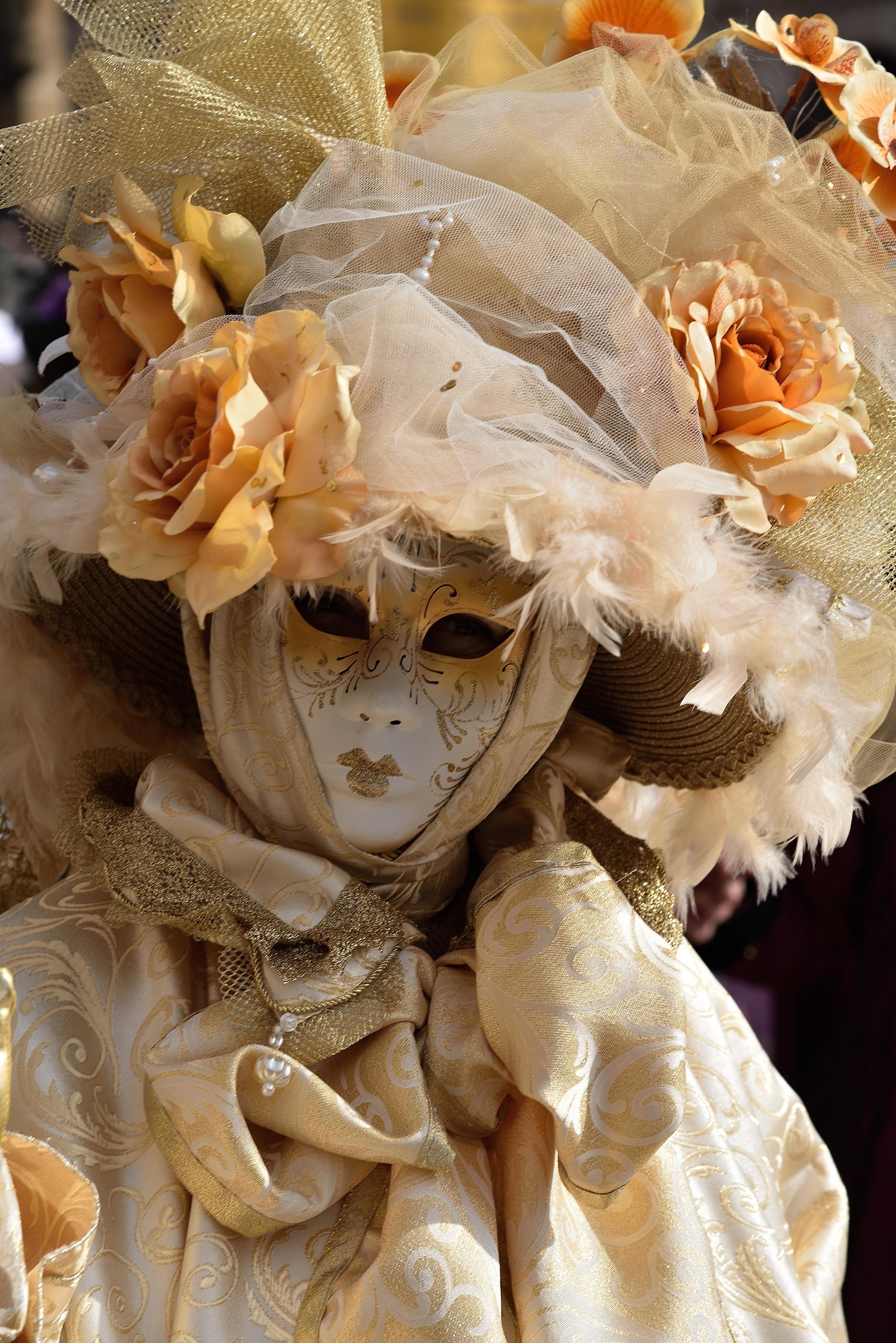 Verona Carnival 2017