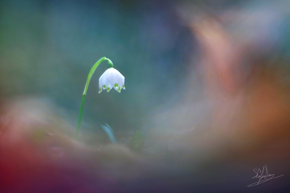 Risveglio da un lungo sogno