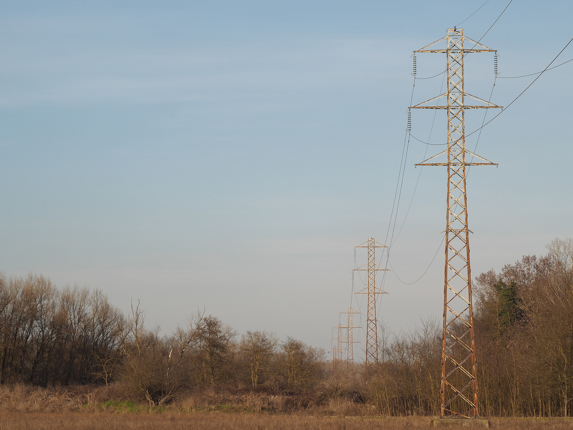 Suspension bridge over the forest - series "Parco del T...