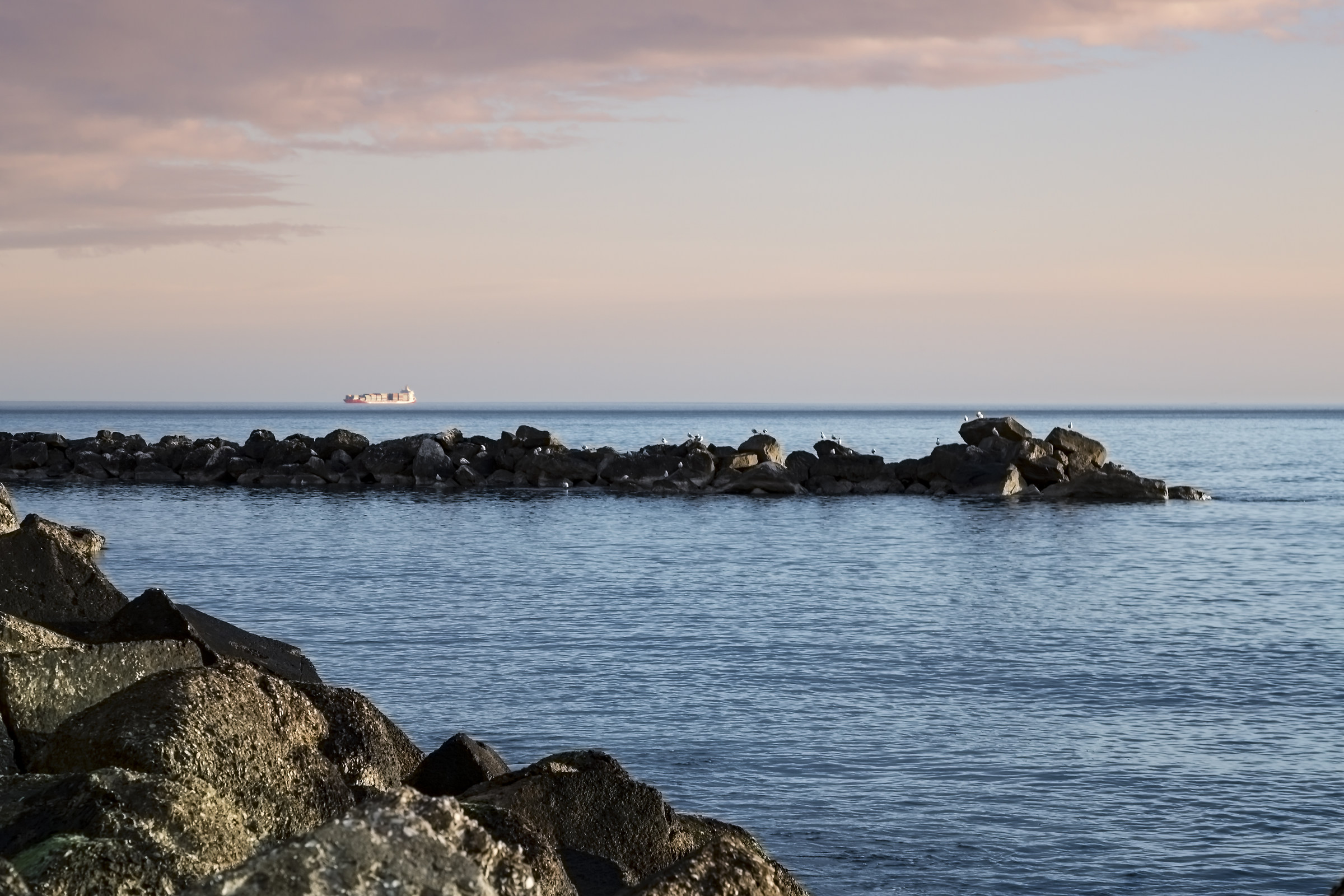 "With the pink ribbon."