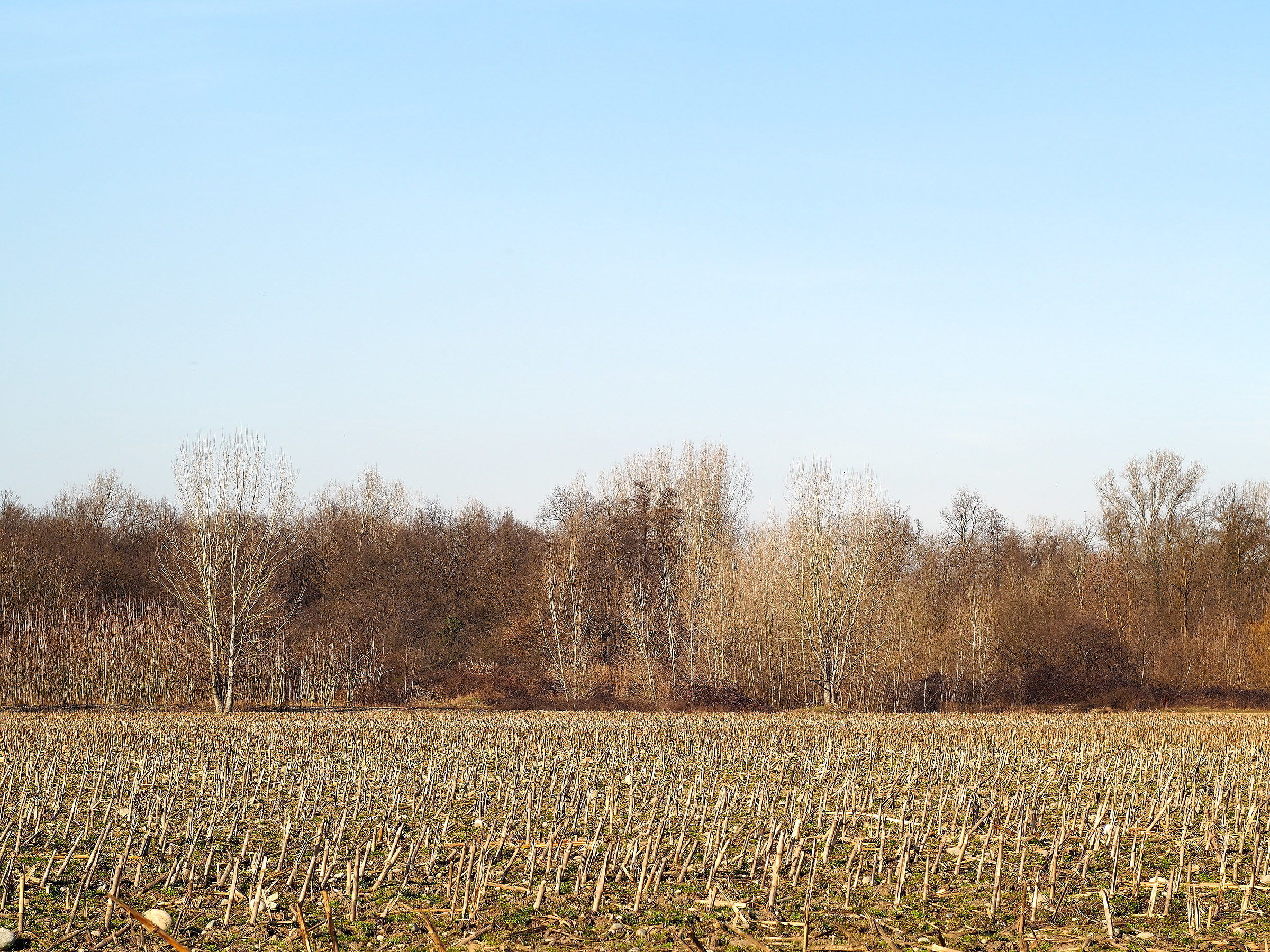 nostalgia ... - series "Parco del Ticino"