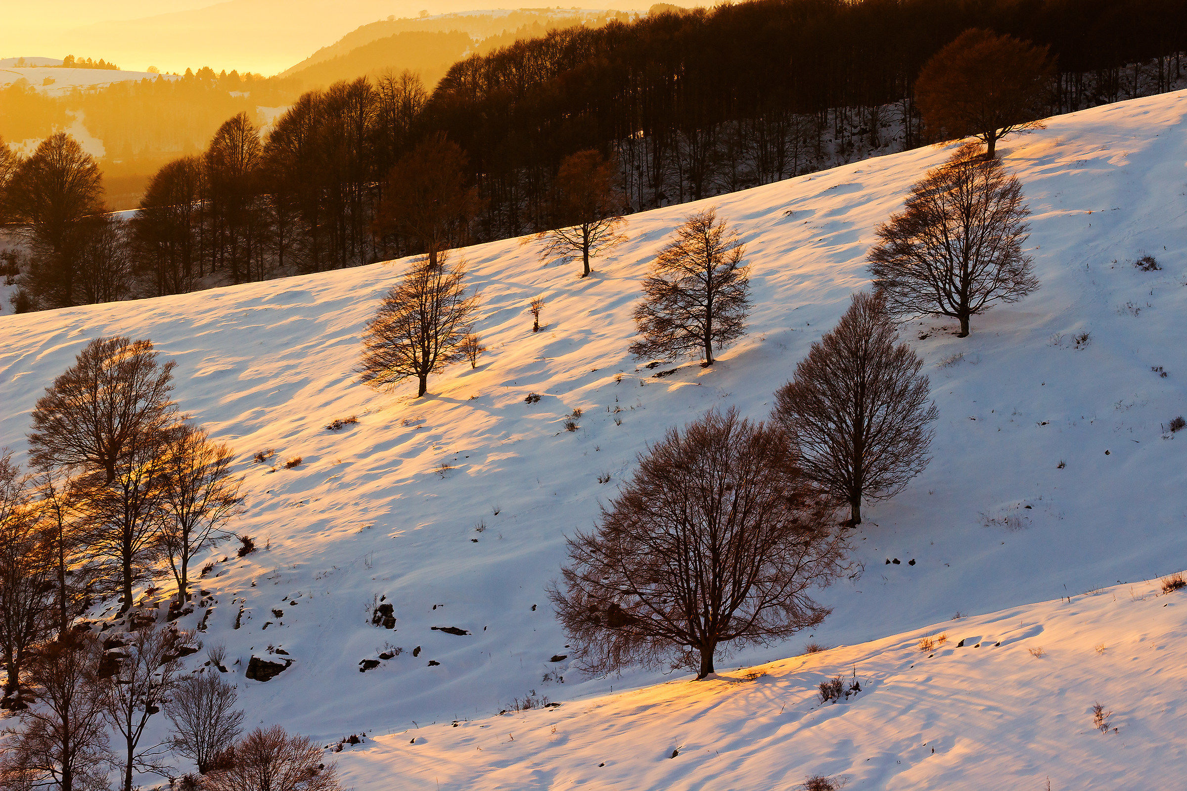 Qui è la pentola d'oro
