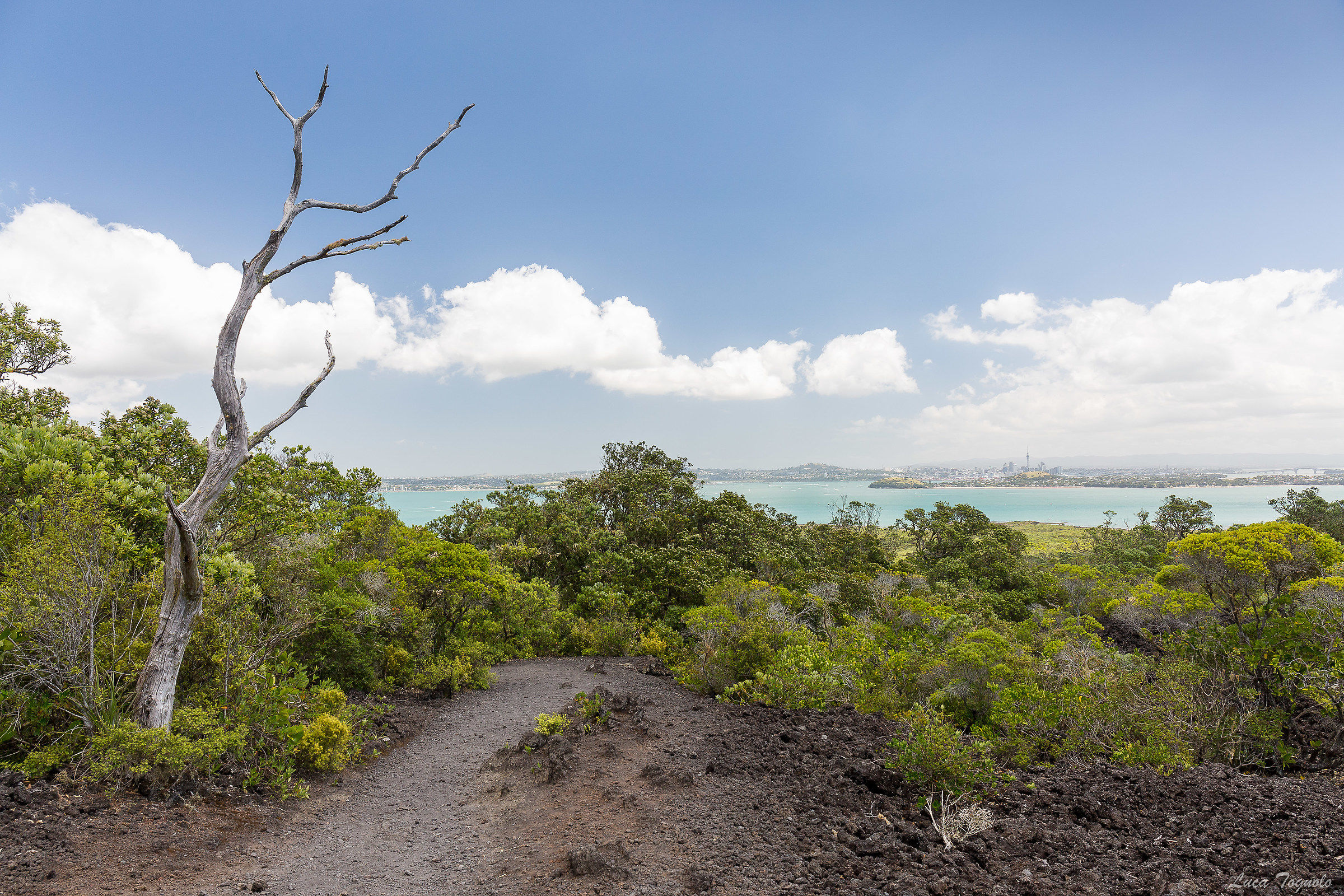 Auckland - Rongitoto