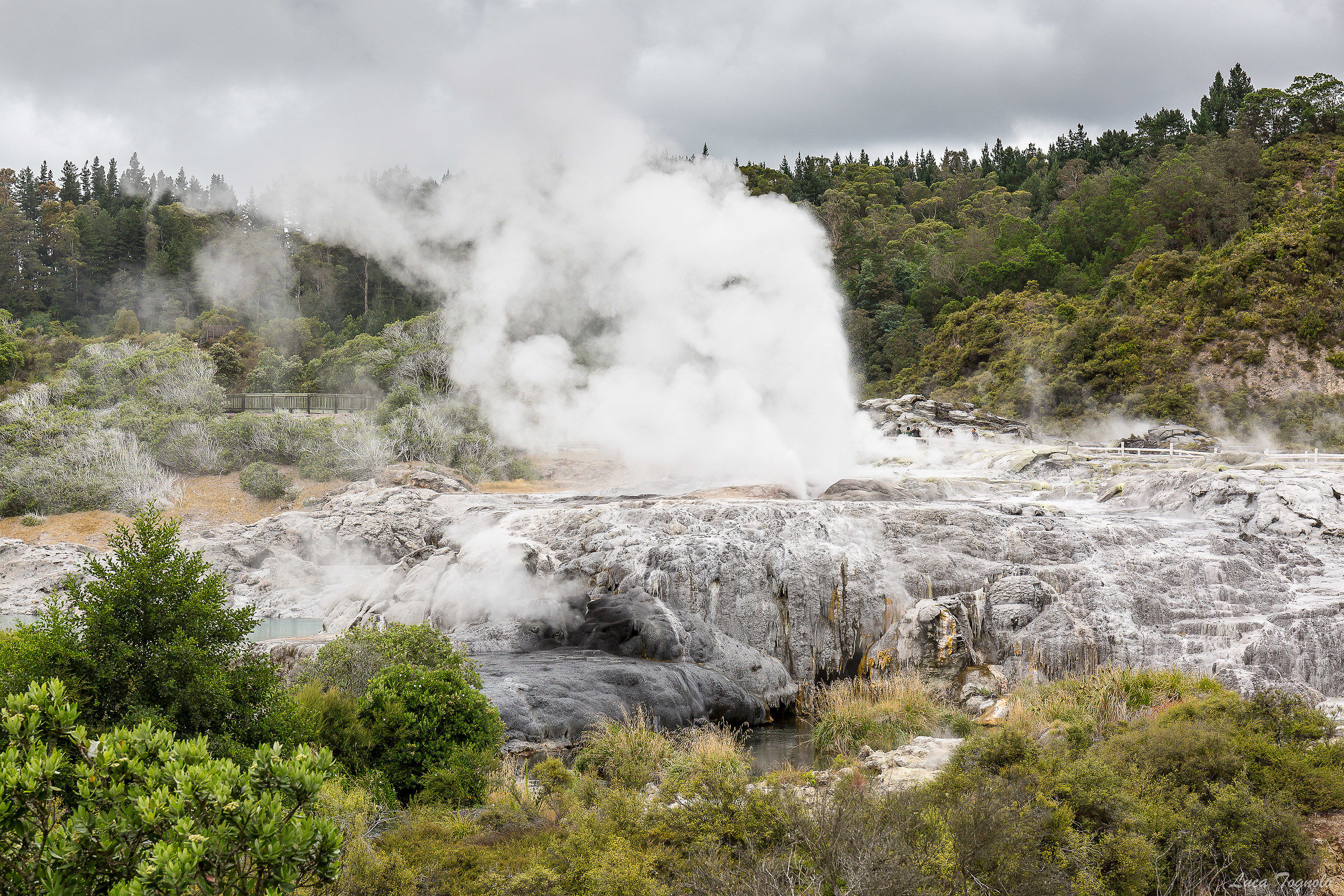 Rotorua
