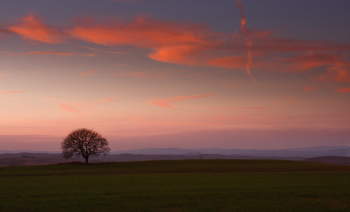 She has seen the sunsets ...