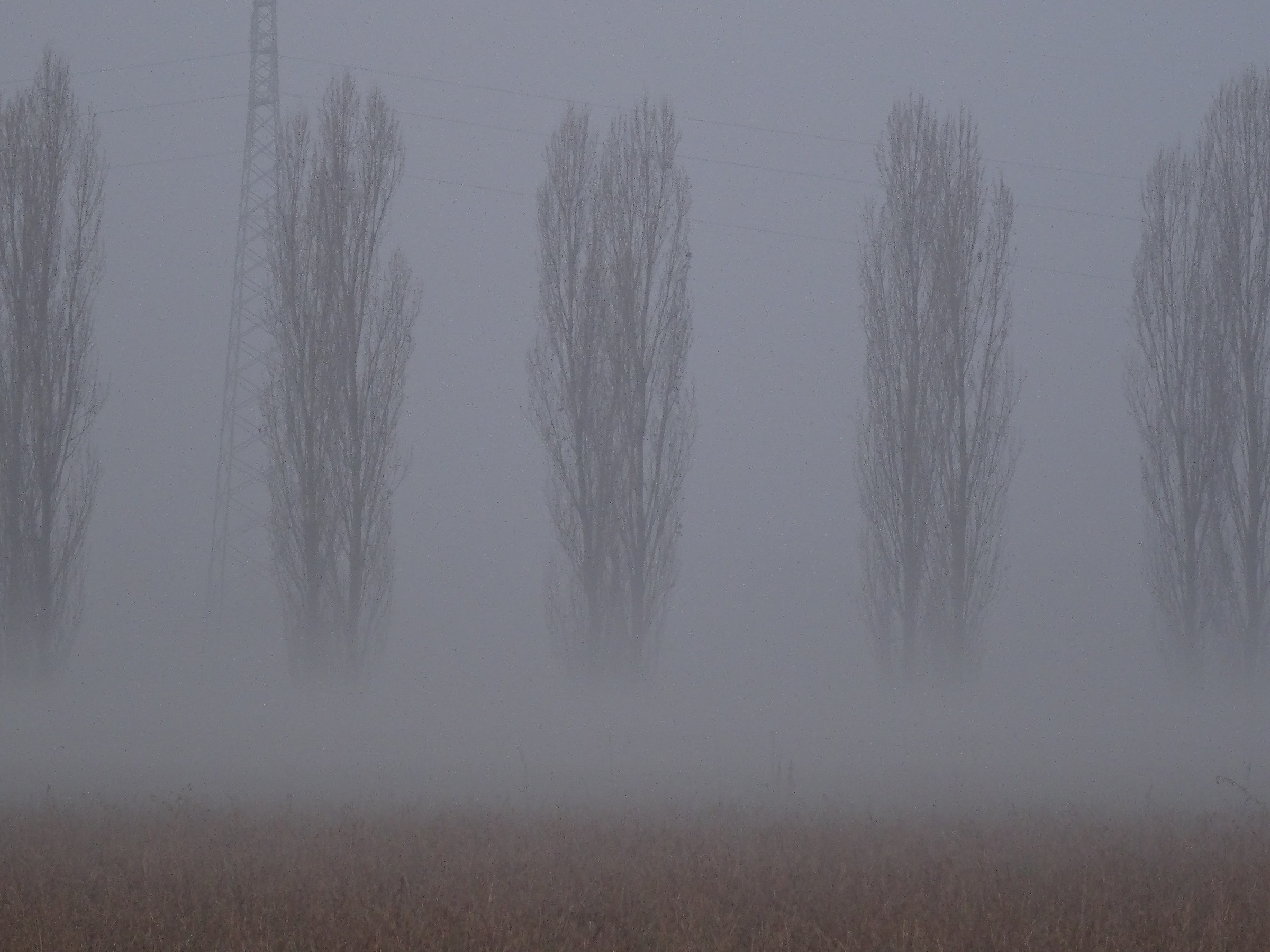 Il fascino della nabbia al mattino