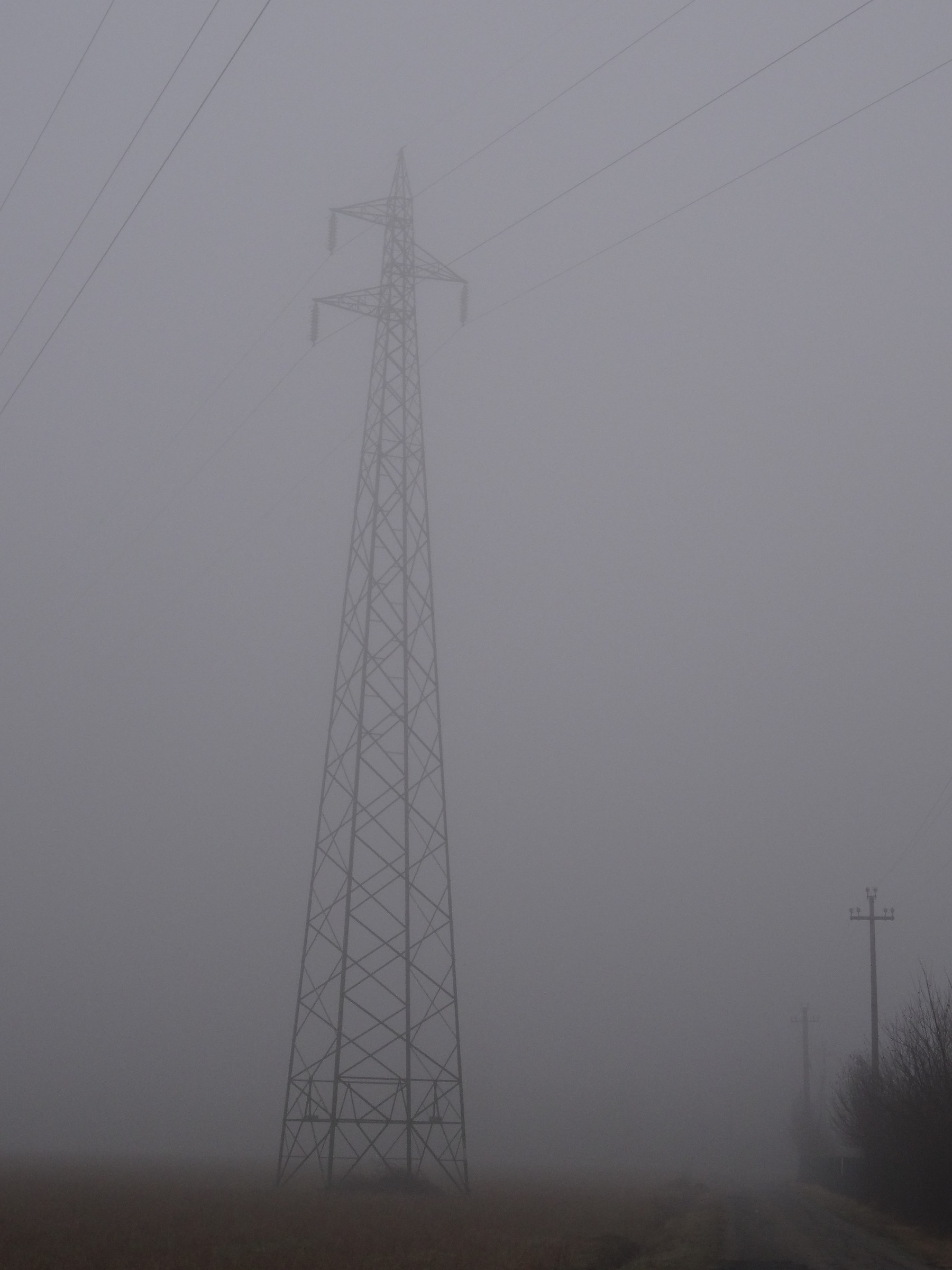 Il fascino della nabbia al mattino 2