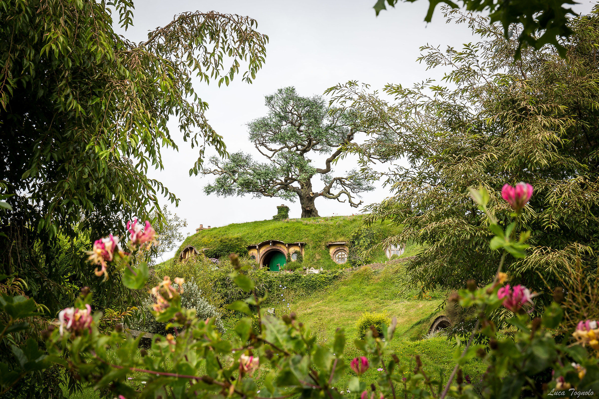 Hobbiton - Bilbo Baggins
