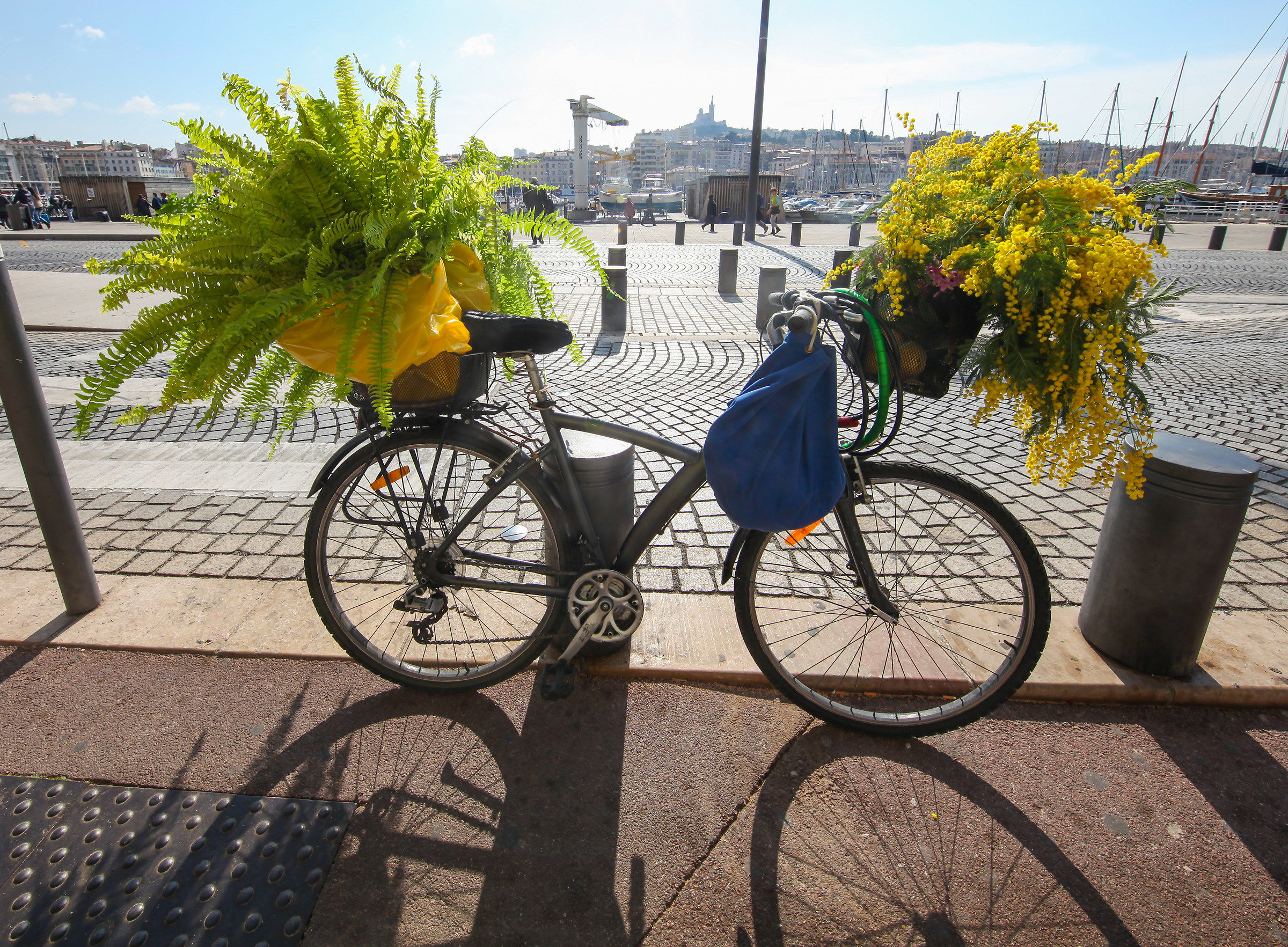 Thinking about Women