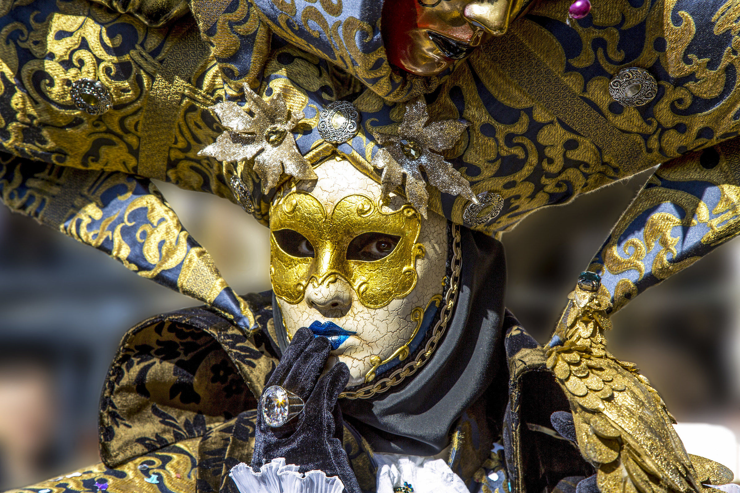 Venice Carnival 2017