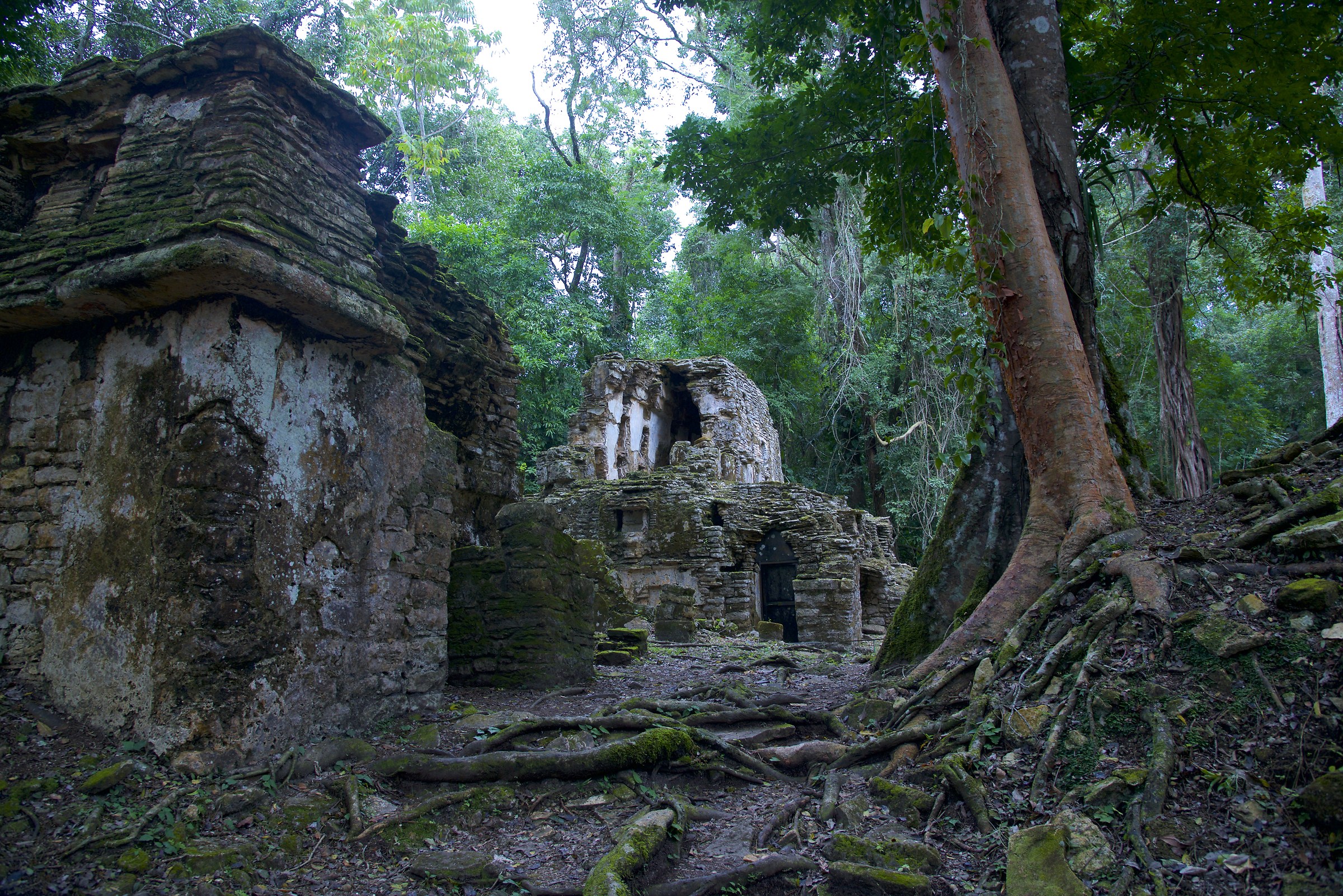 Maya ruins