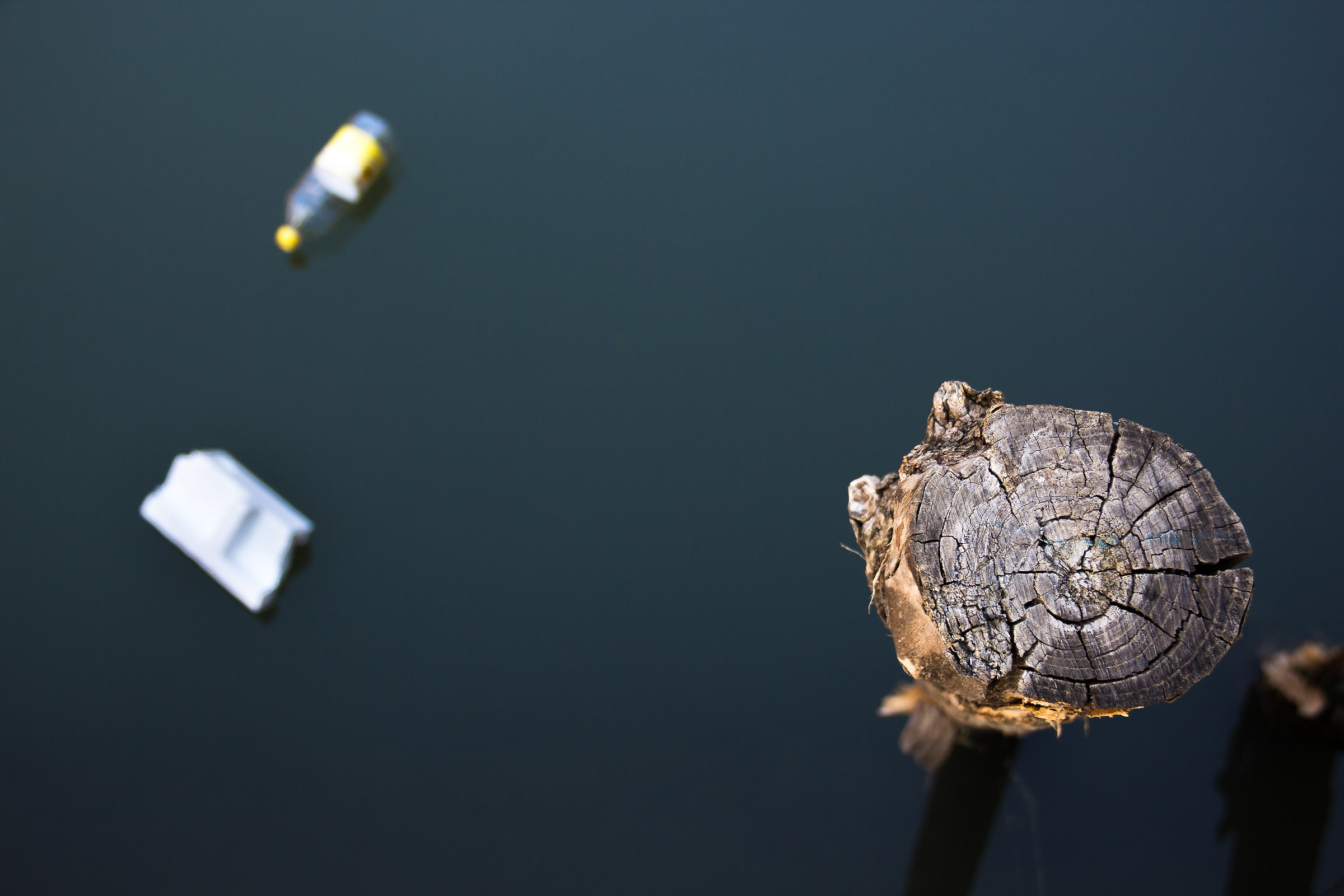 Three meters above Venice