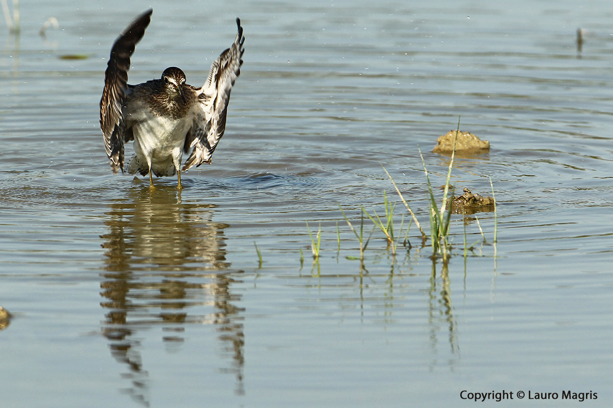 But go elsewhere to photograph!