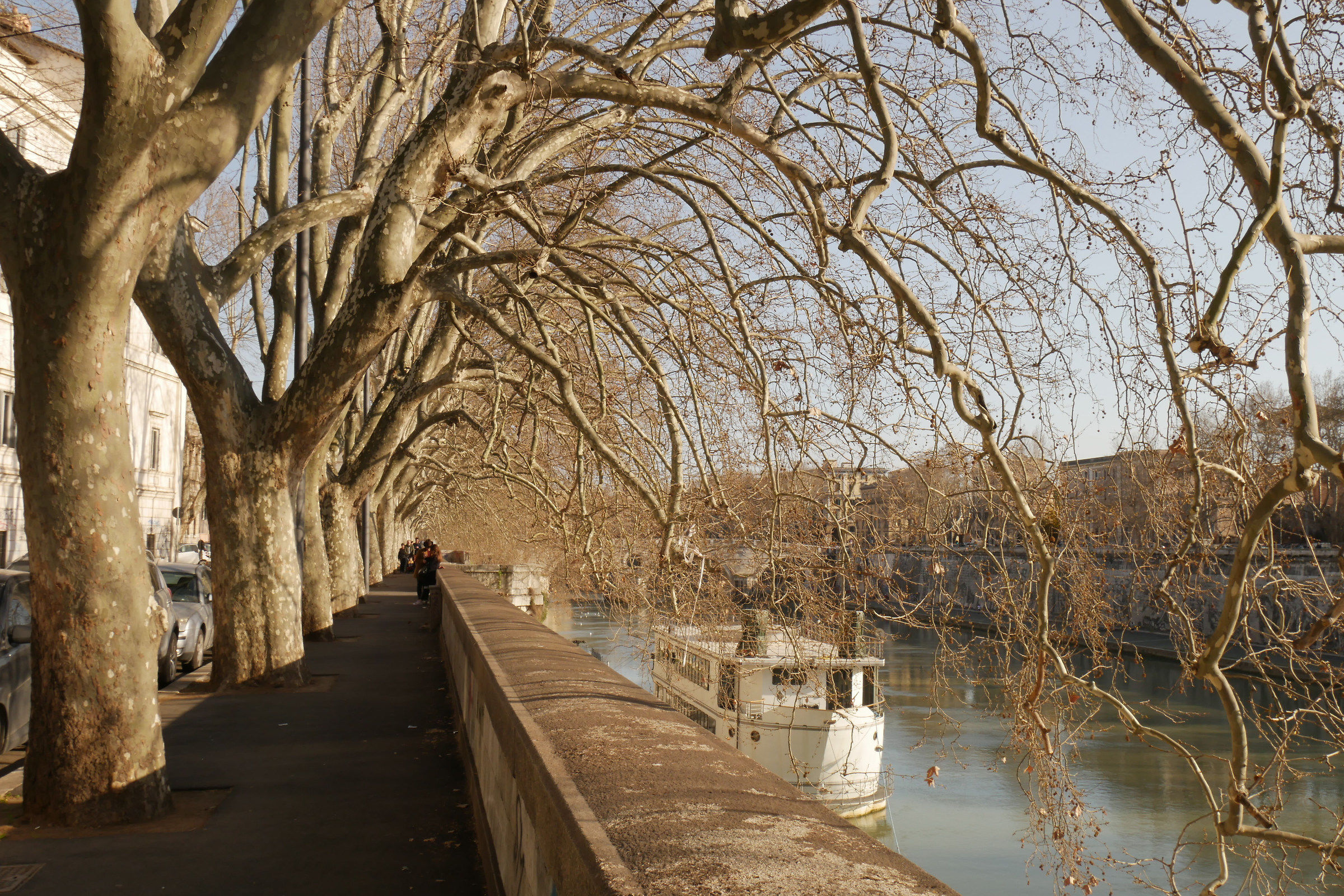 Planes, circles and river