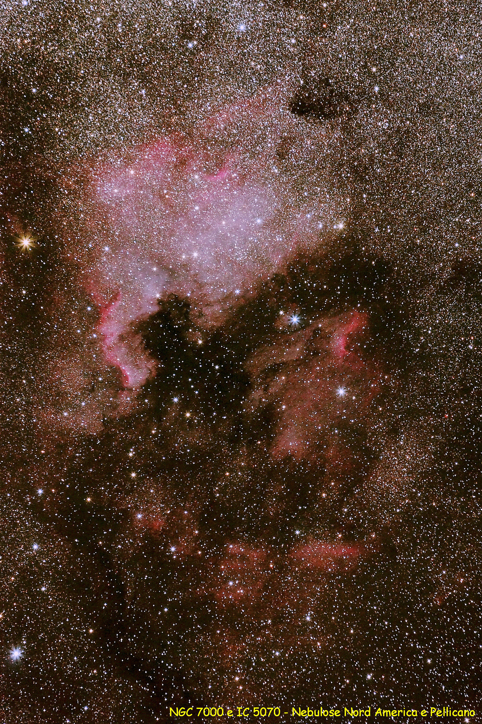 North and Pelican nebulae Ameerica
