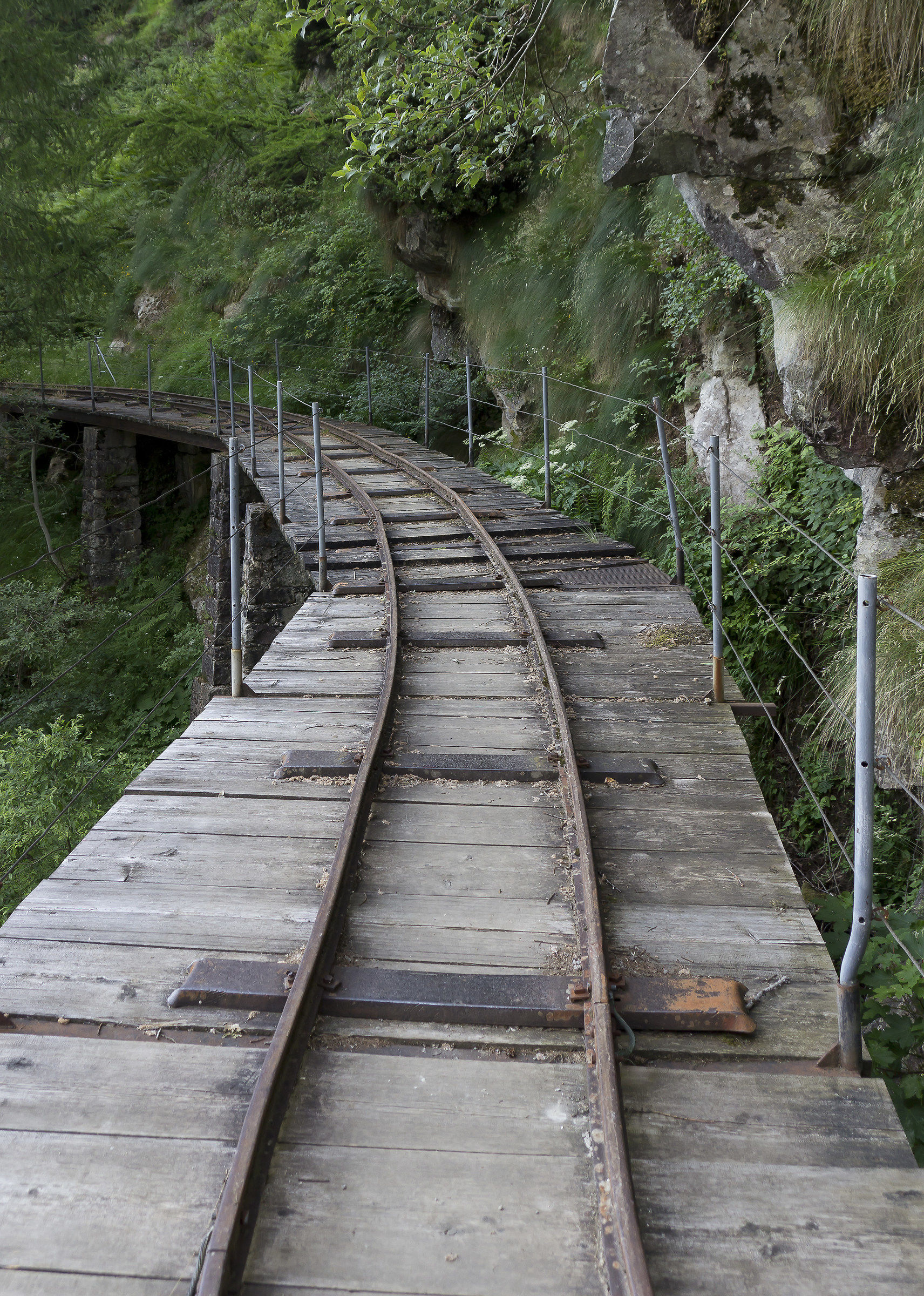 Lake Campliccioli Rail