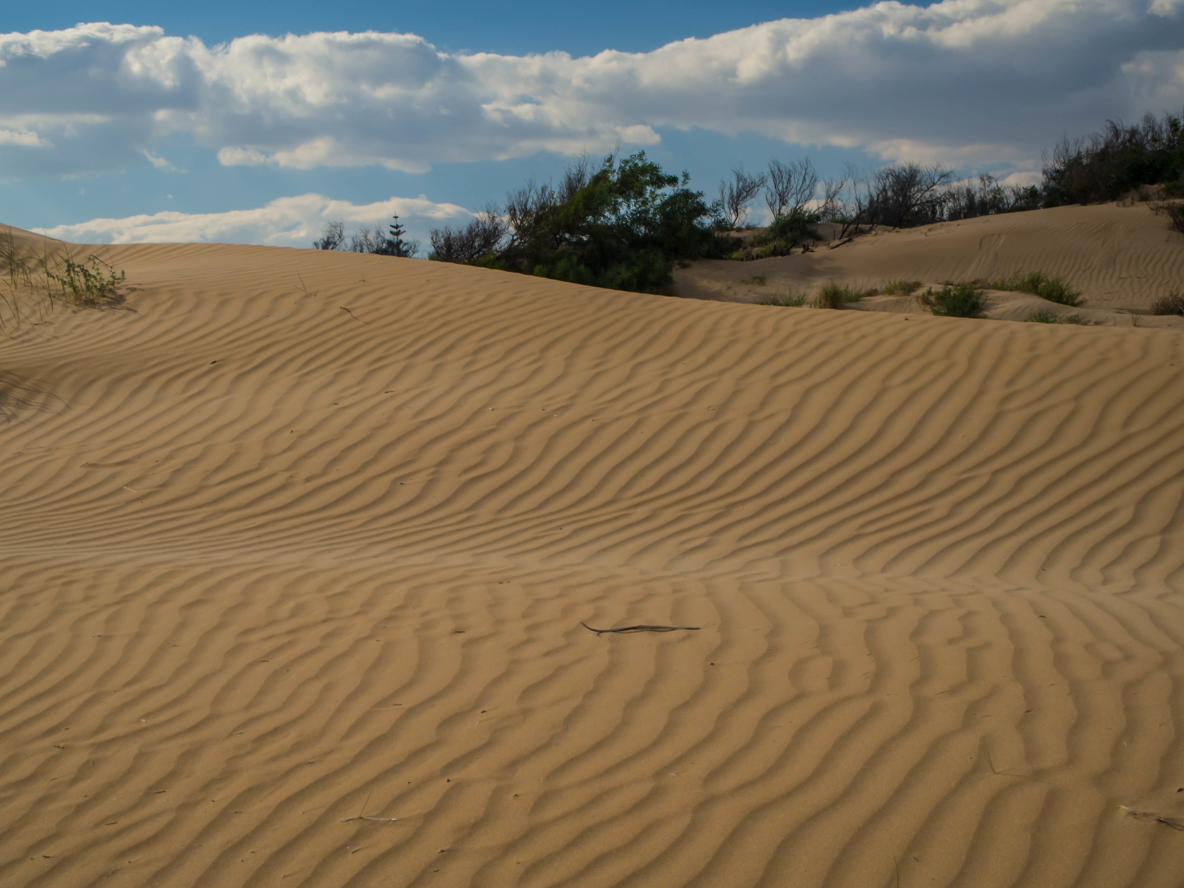 Santa Maria del Focallo - Dune