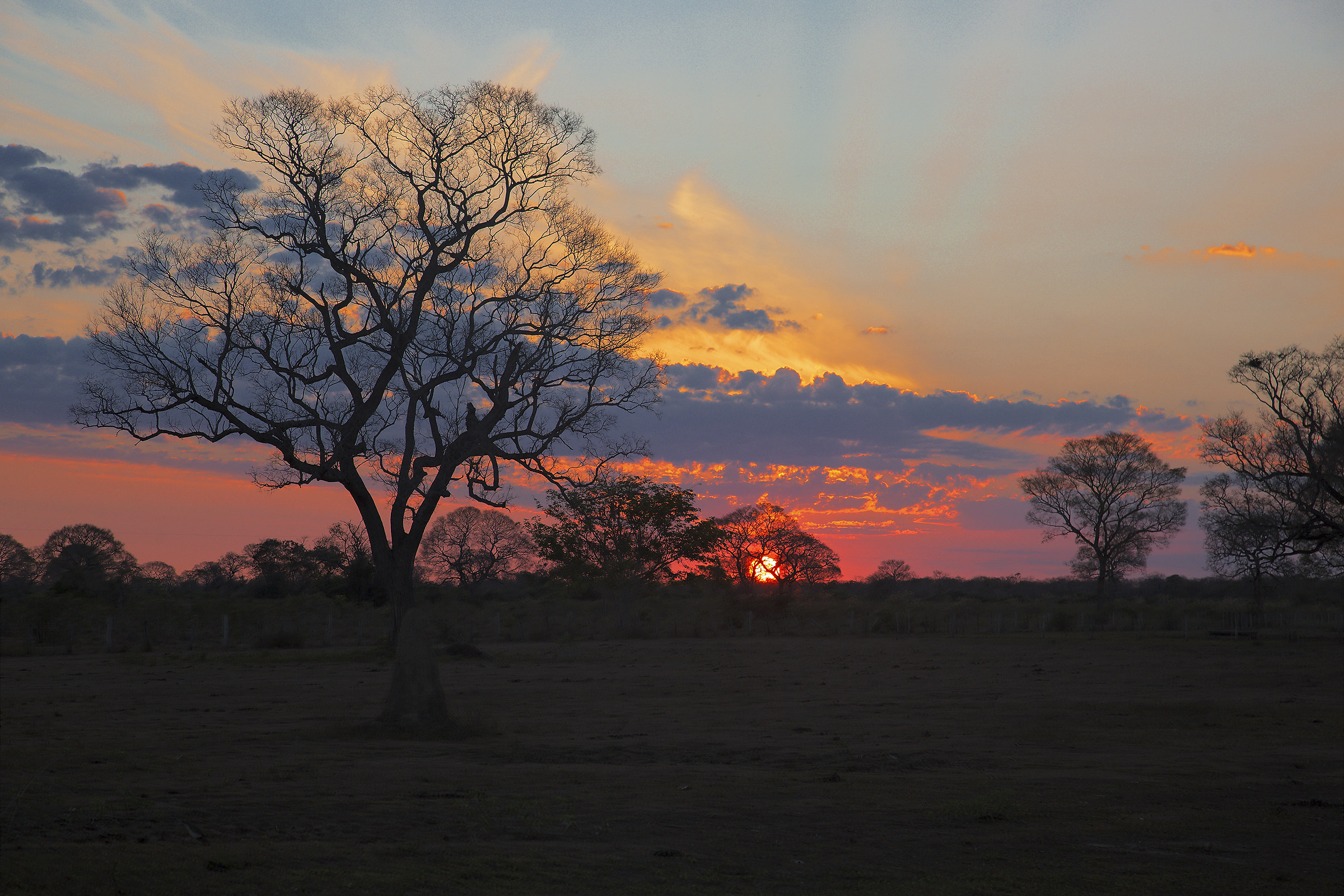 Tramonto nel Pantanal
