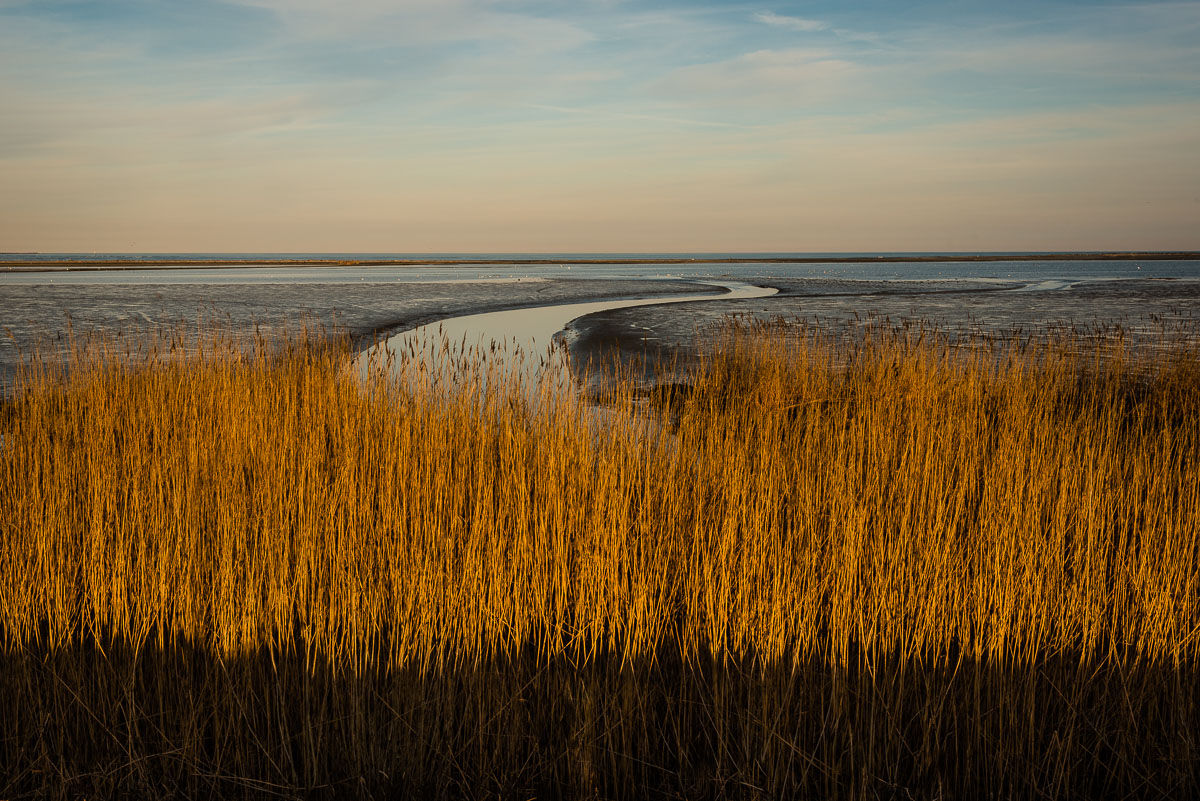 Yellow in the Delta