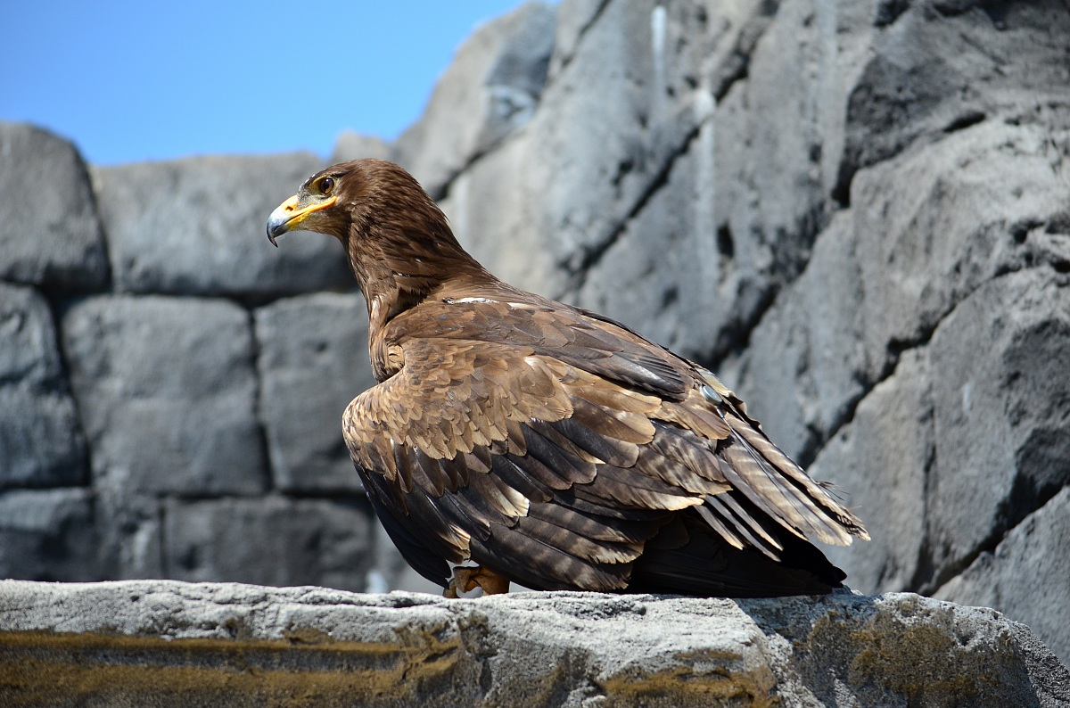 Solita ambientazione!?!?!Scusate!!!!!!