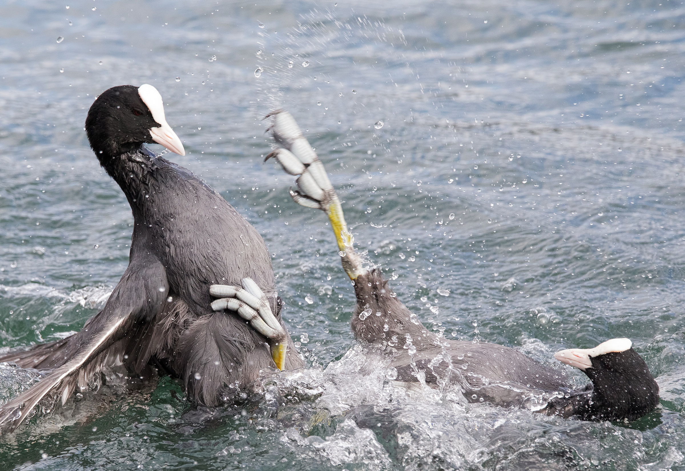 No holds barred! :) 2