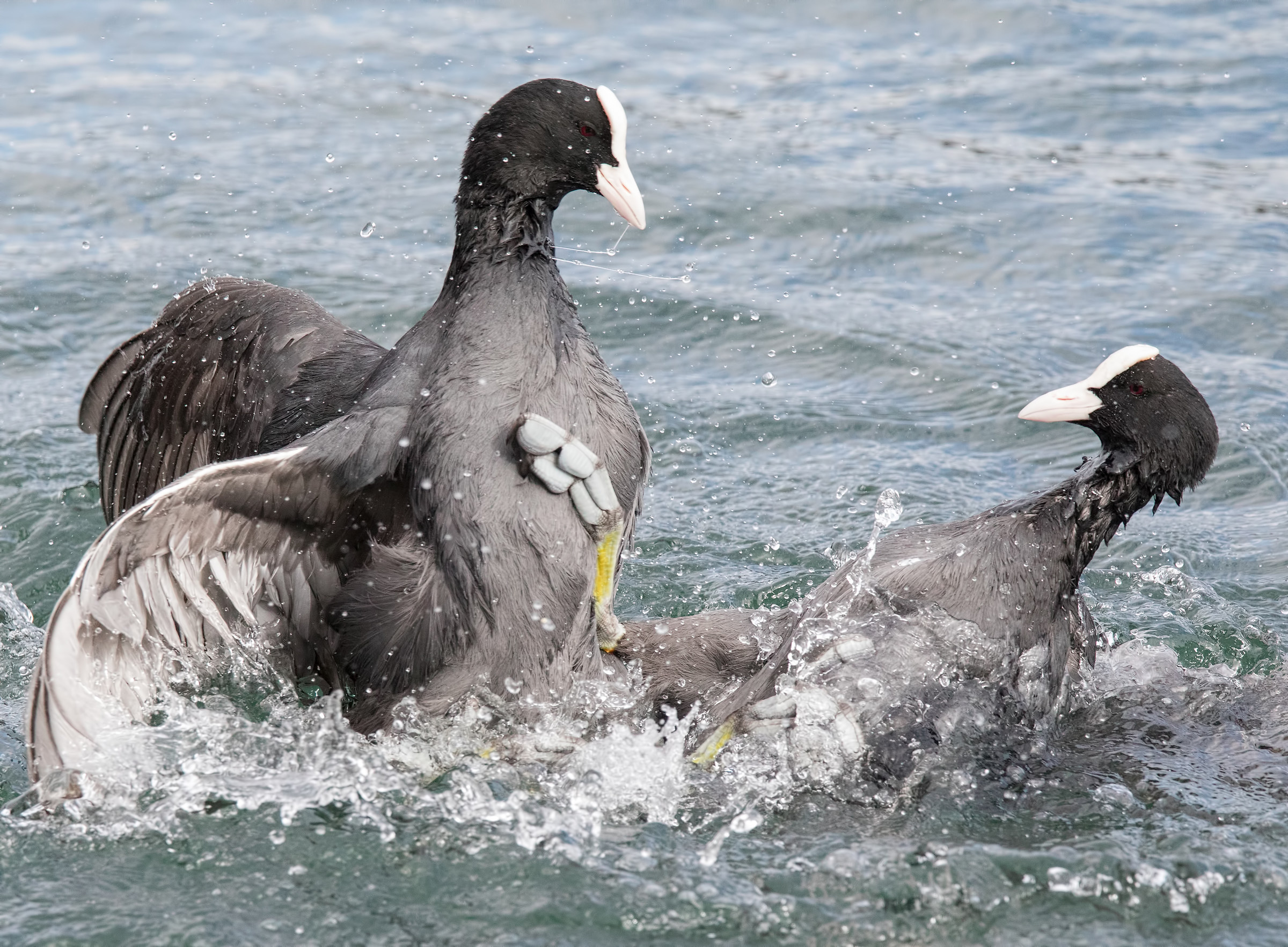 No holds barred! :) 3