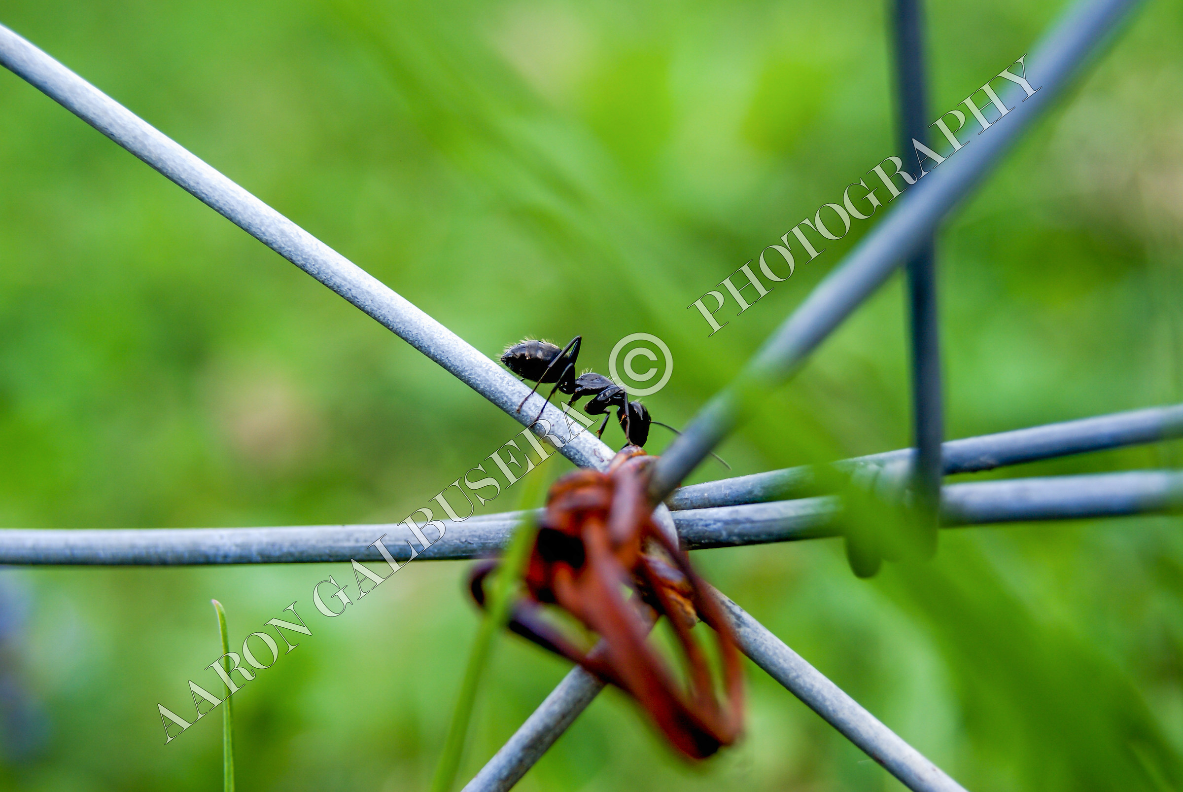 La mia prima fotografia significativa