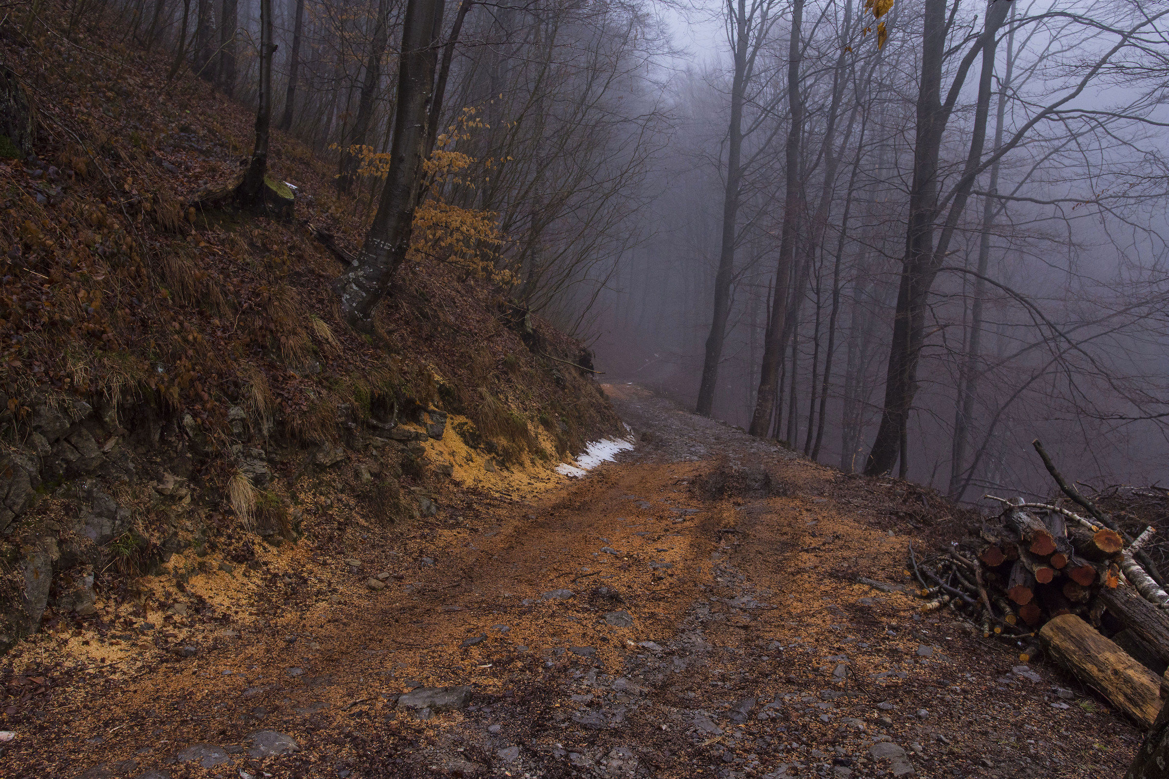 Winter morning on the slopes of the Resegone