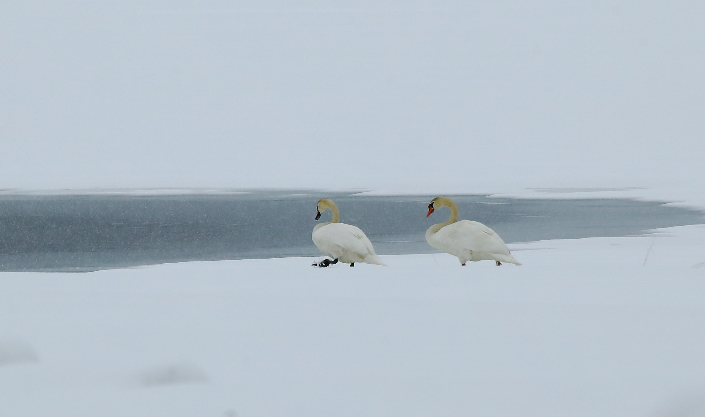 Lago di Valdurna oggi