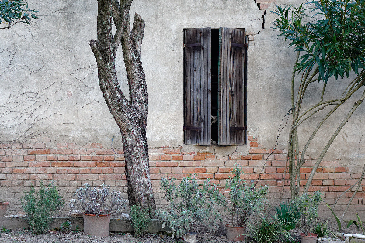 Noon pale and absorbed ...