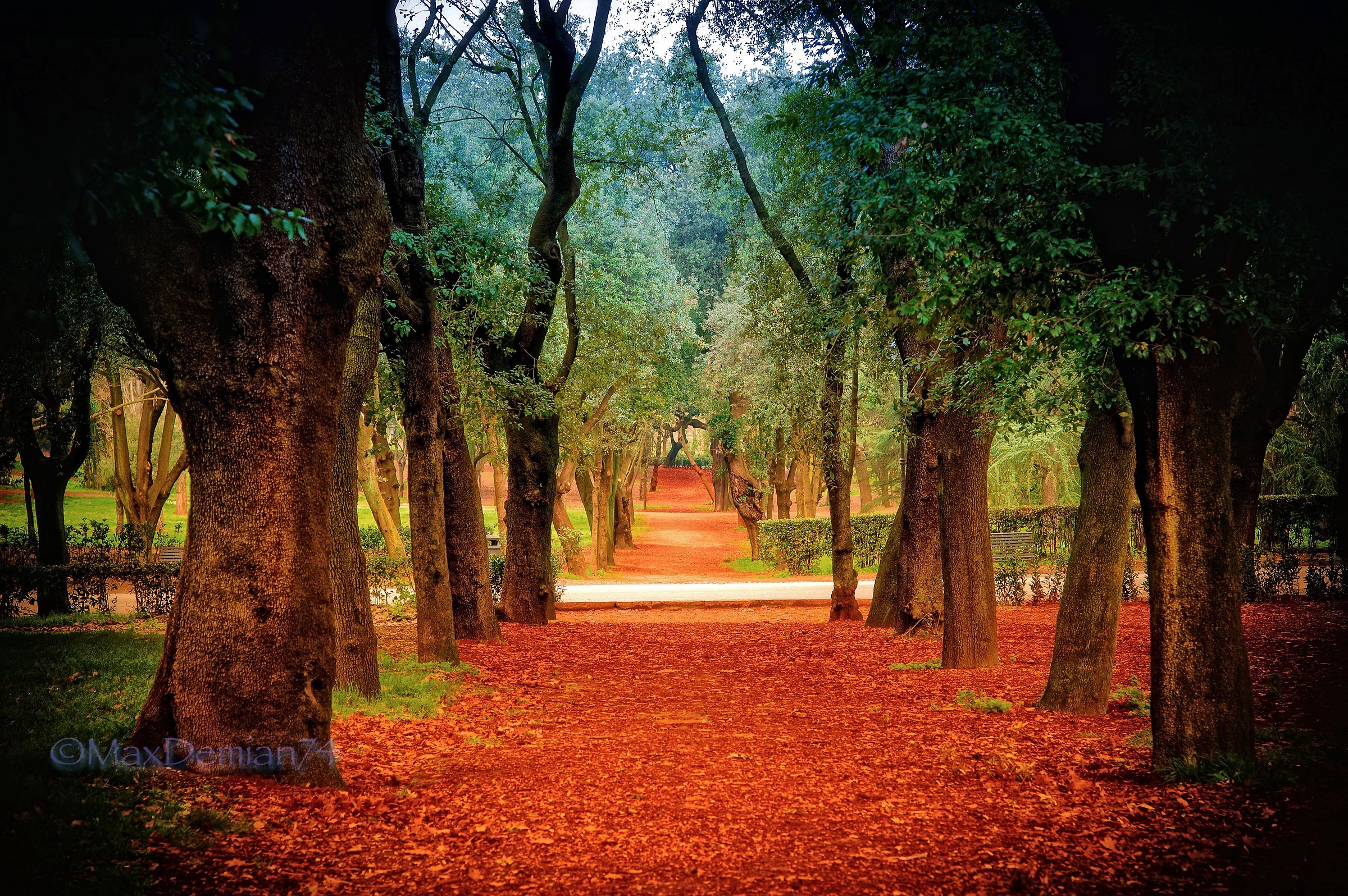 The red avenue