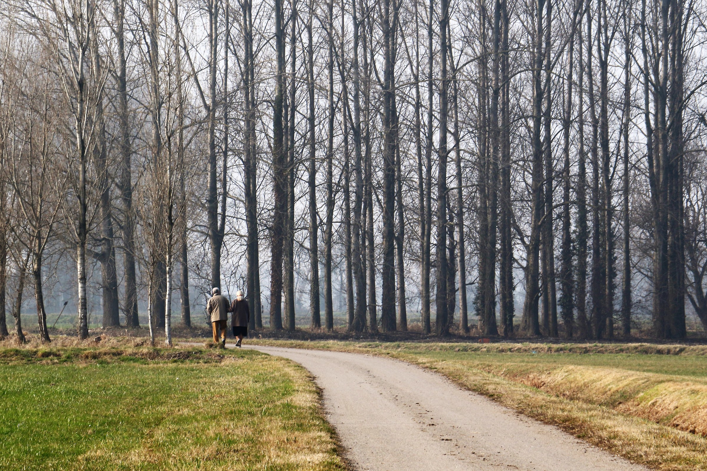 Passeggiata invernale