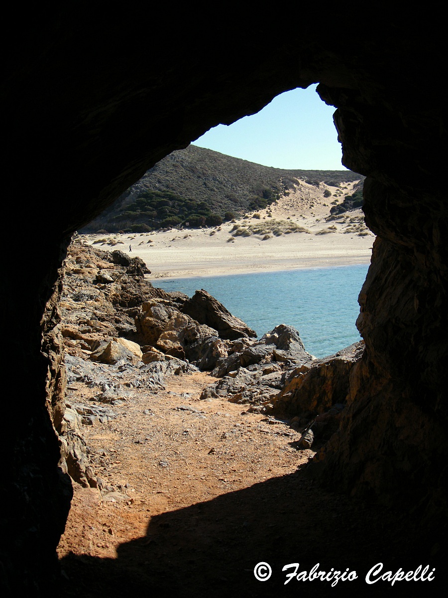 Cala Domestica