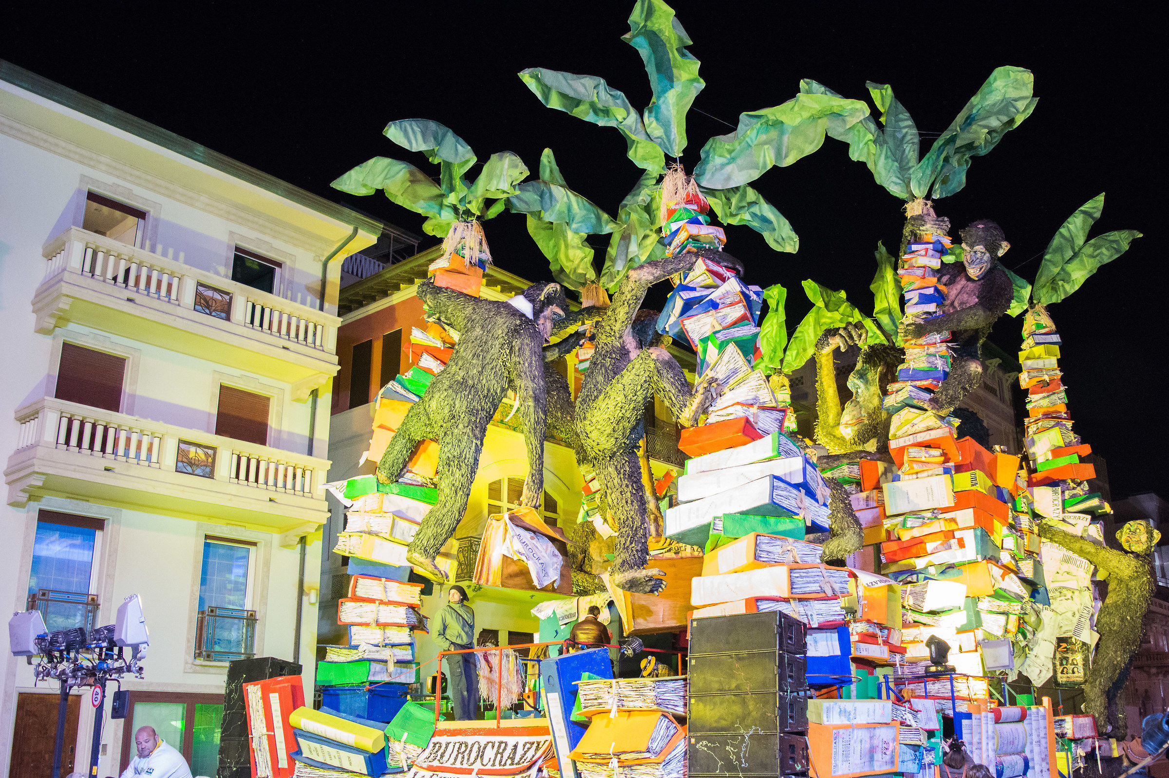 The laws of the jungle