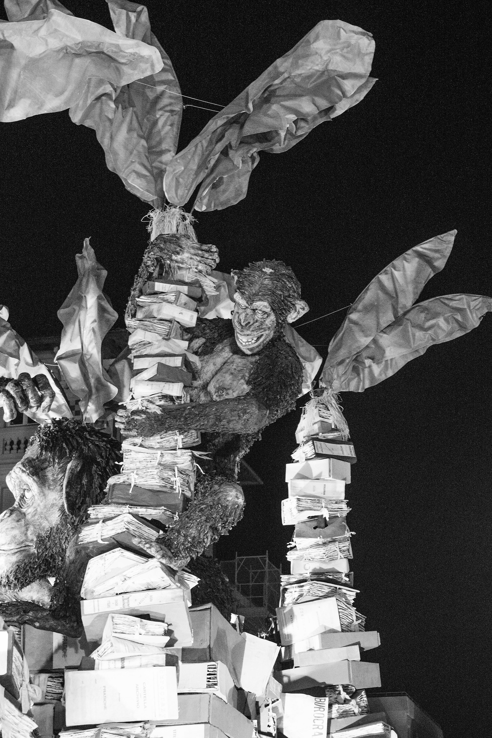 The laws of the jungle 2