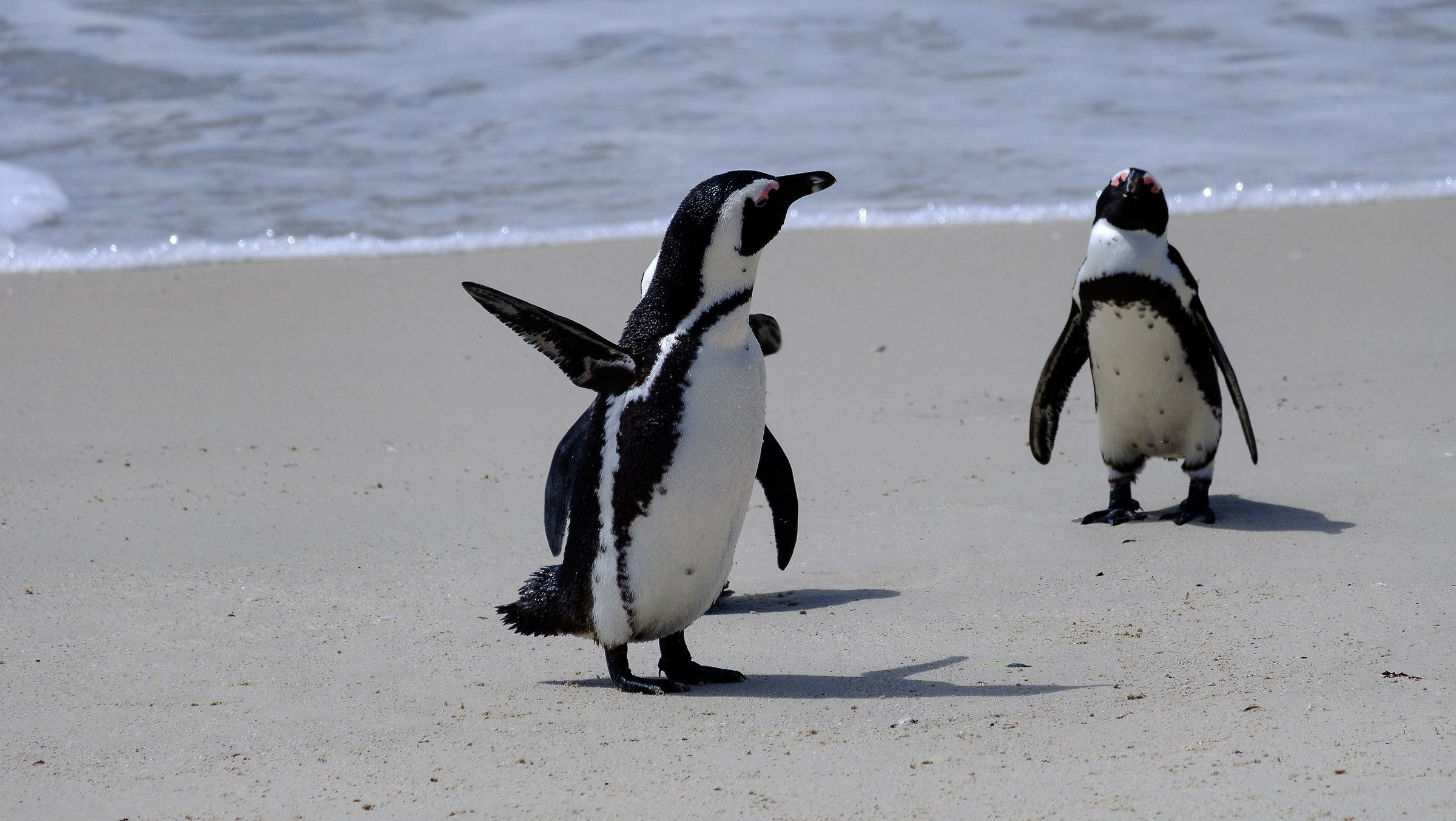 Dove devo andare? Per di là...