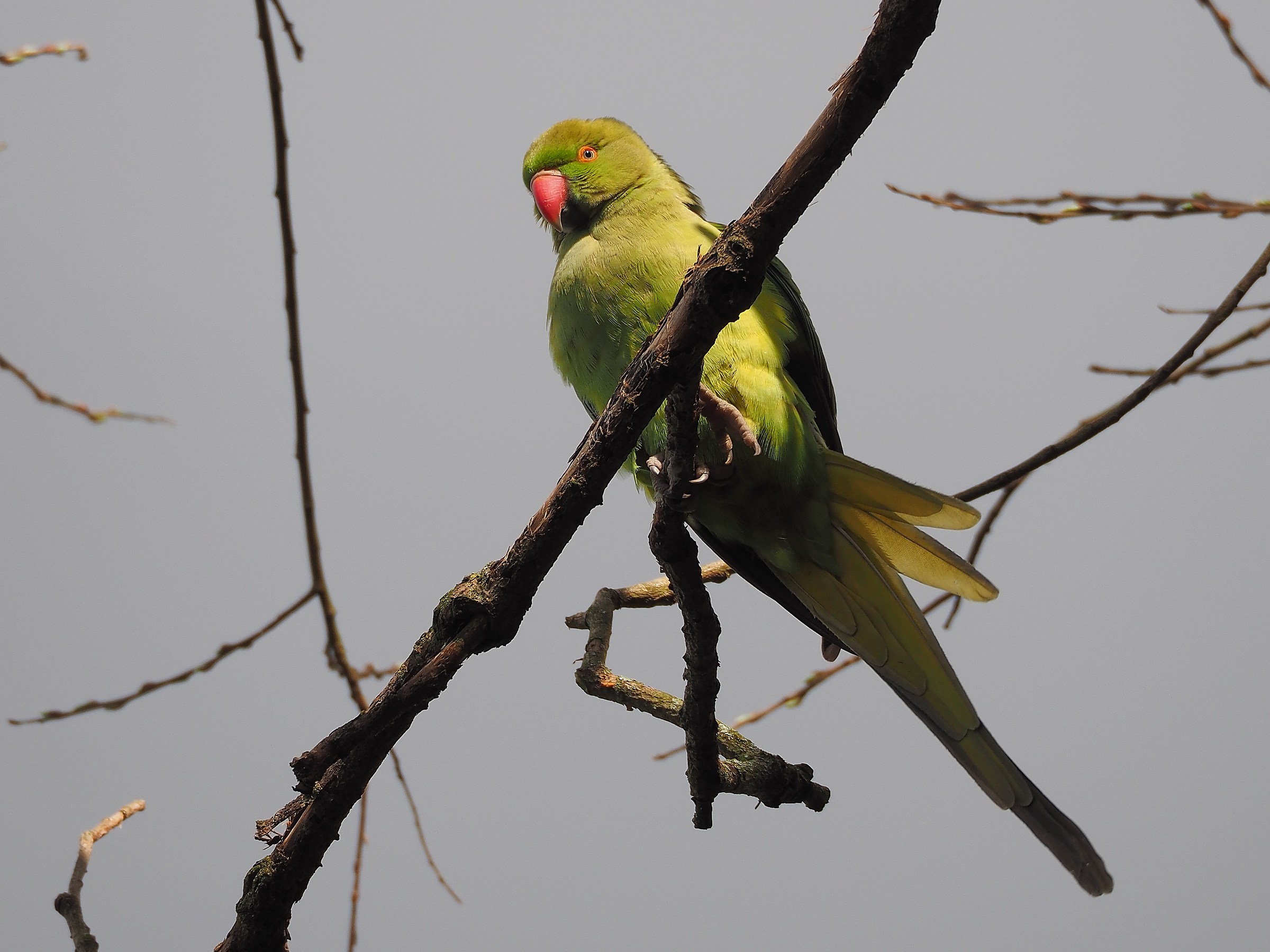 Un po' di sole finalmente