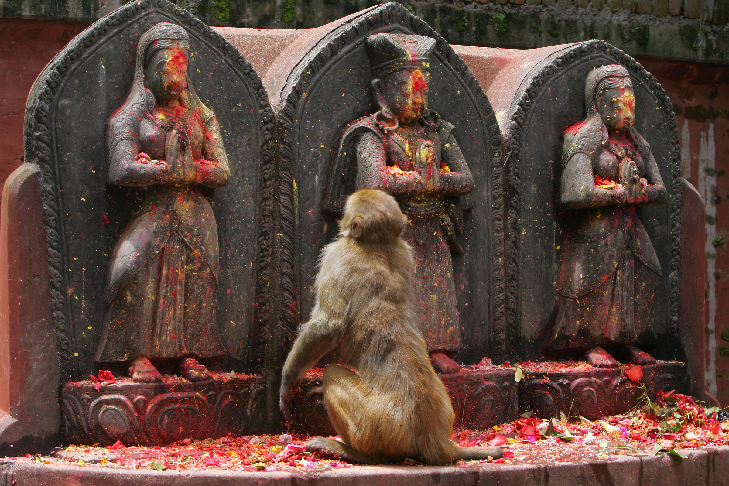 Un'offerta per le divinità