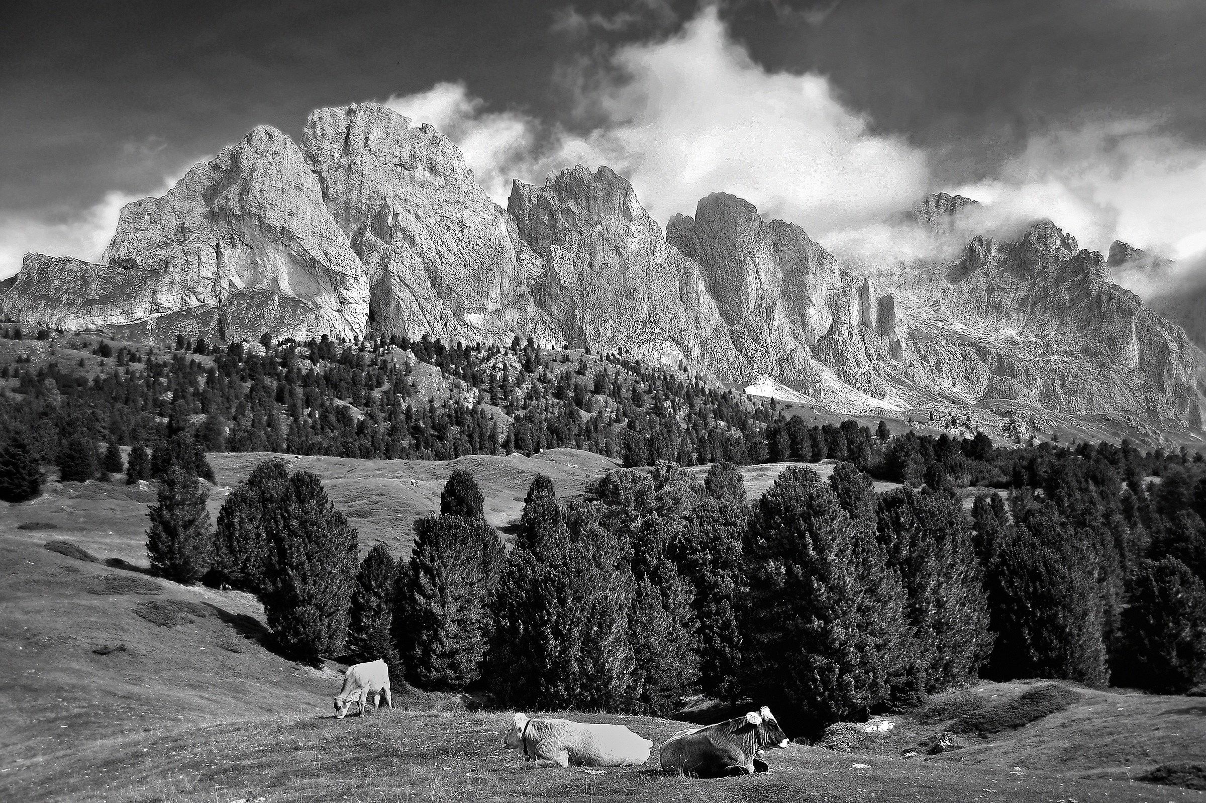 Le Odle dall'alpe di Mastle'