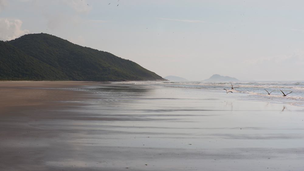 Ilha do Cardoso - Praia do Marujá