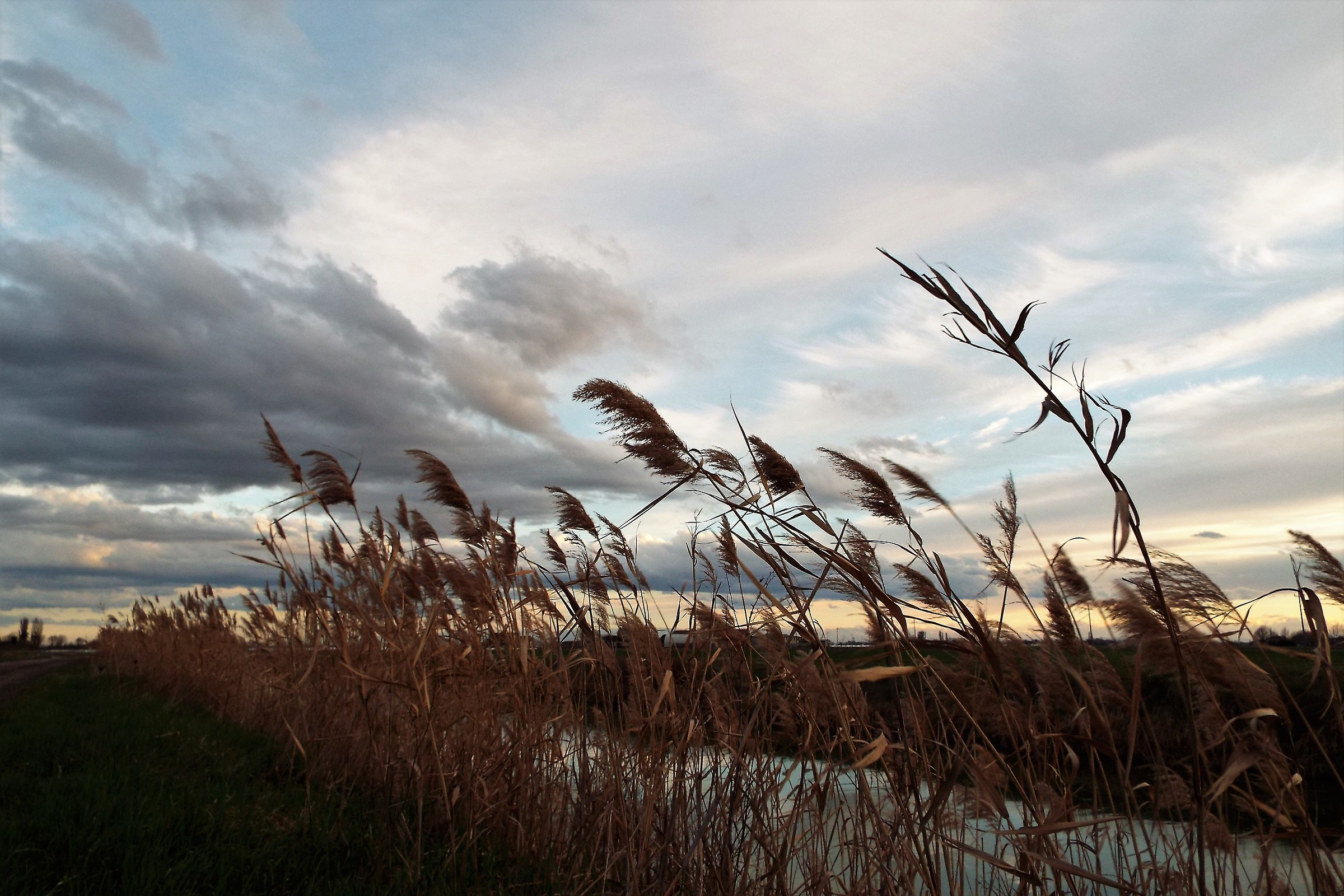 lazy sunday afternoon