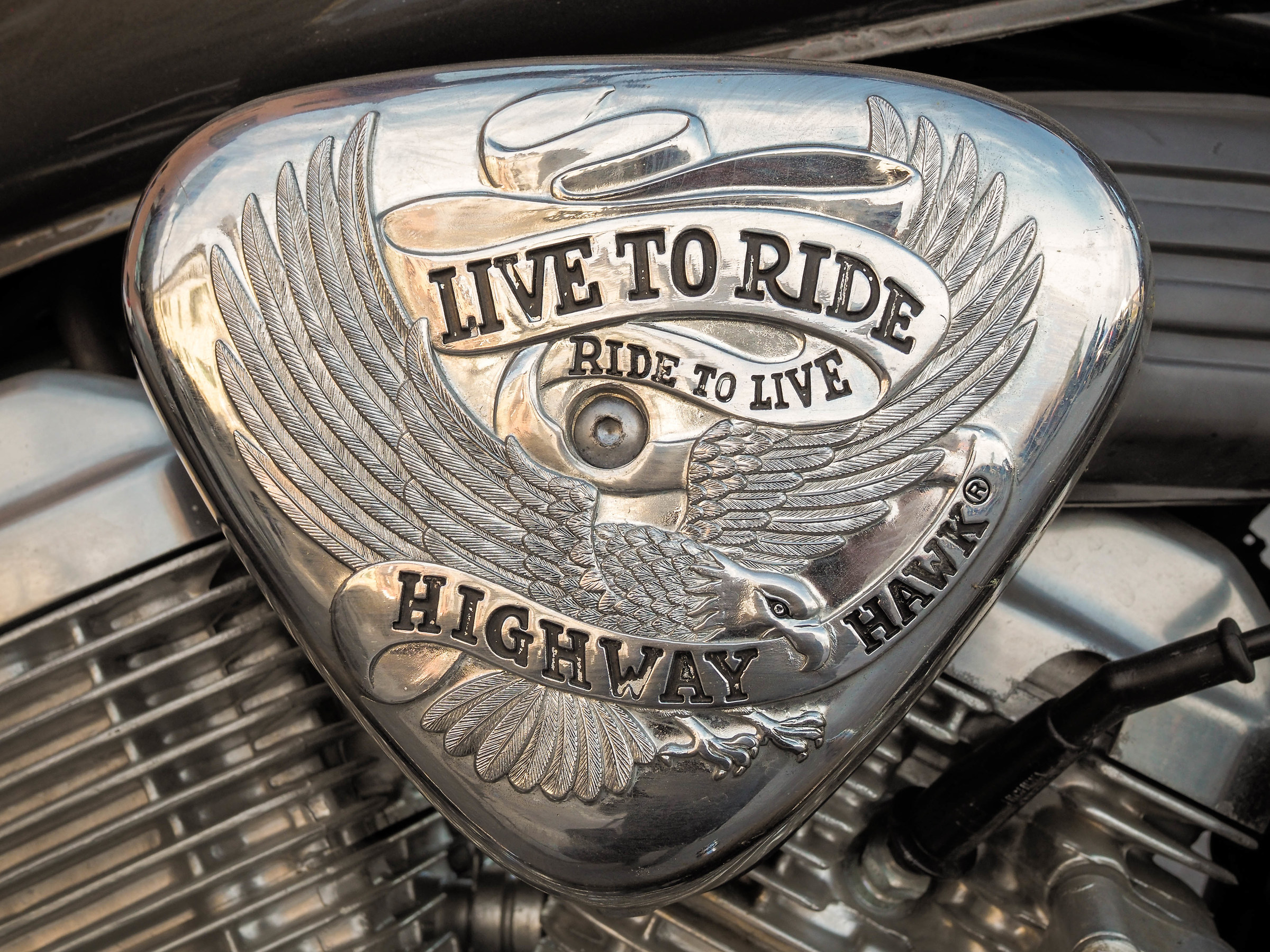 Live to ride... Ride to live