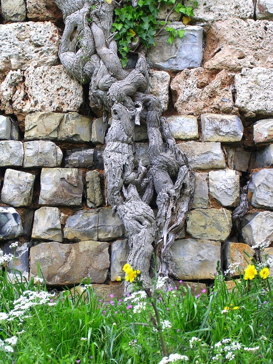 La lotta fra l'uomo e la natura